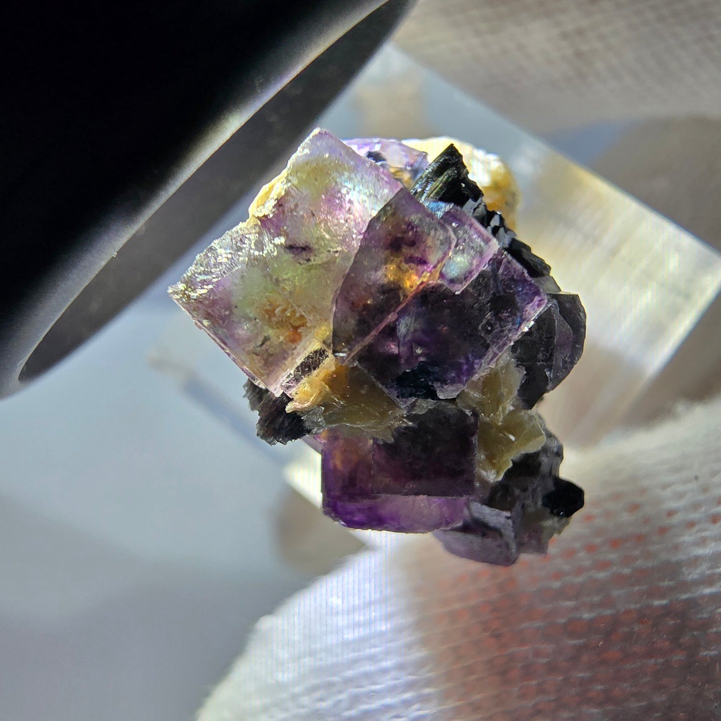 Spécimen de fluorite fantôme colorée, tourmaline scholle, muscovite, Erongo, Namibie, 25 x 22 x 14 mm