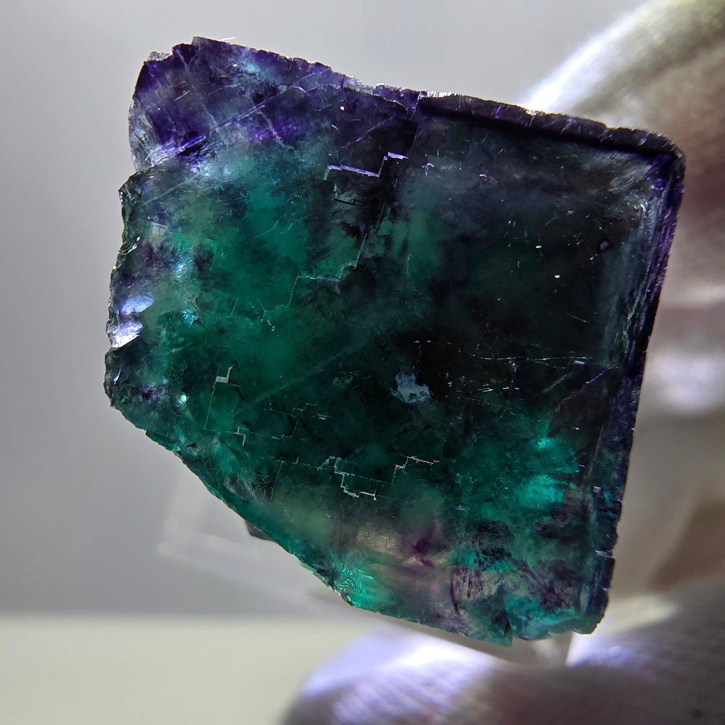 Rare cube de fluorite fantôme, vert violet zonal Okorusu, Namibie 30*24*18mm