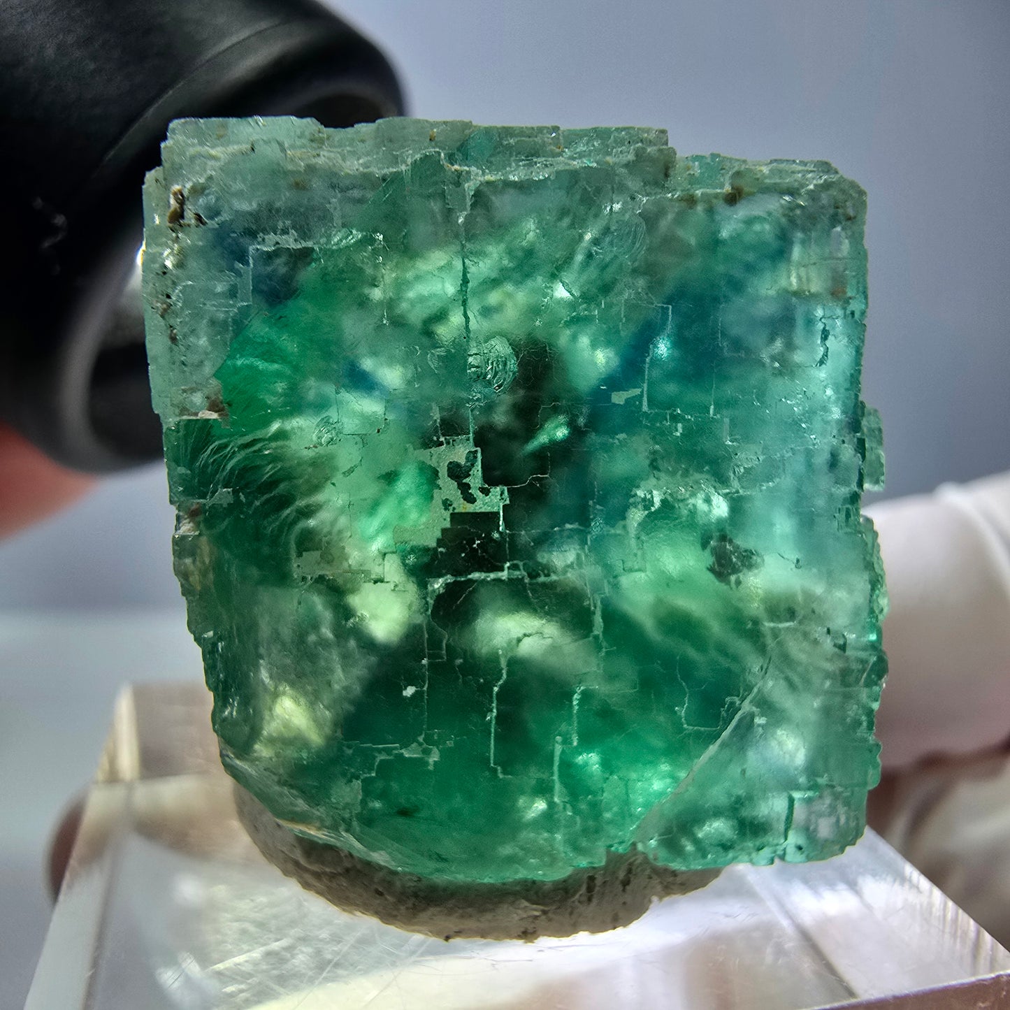Cube de fluorite fantôme transparente parquetée, vert Okorusu, Namibie 23*23*22mm