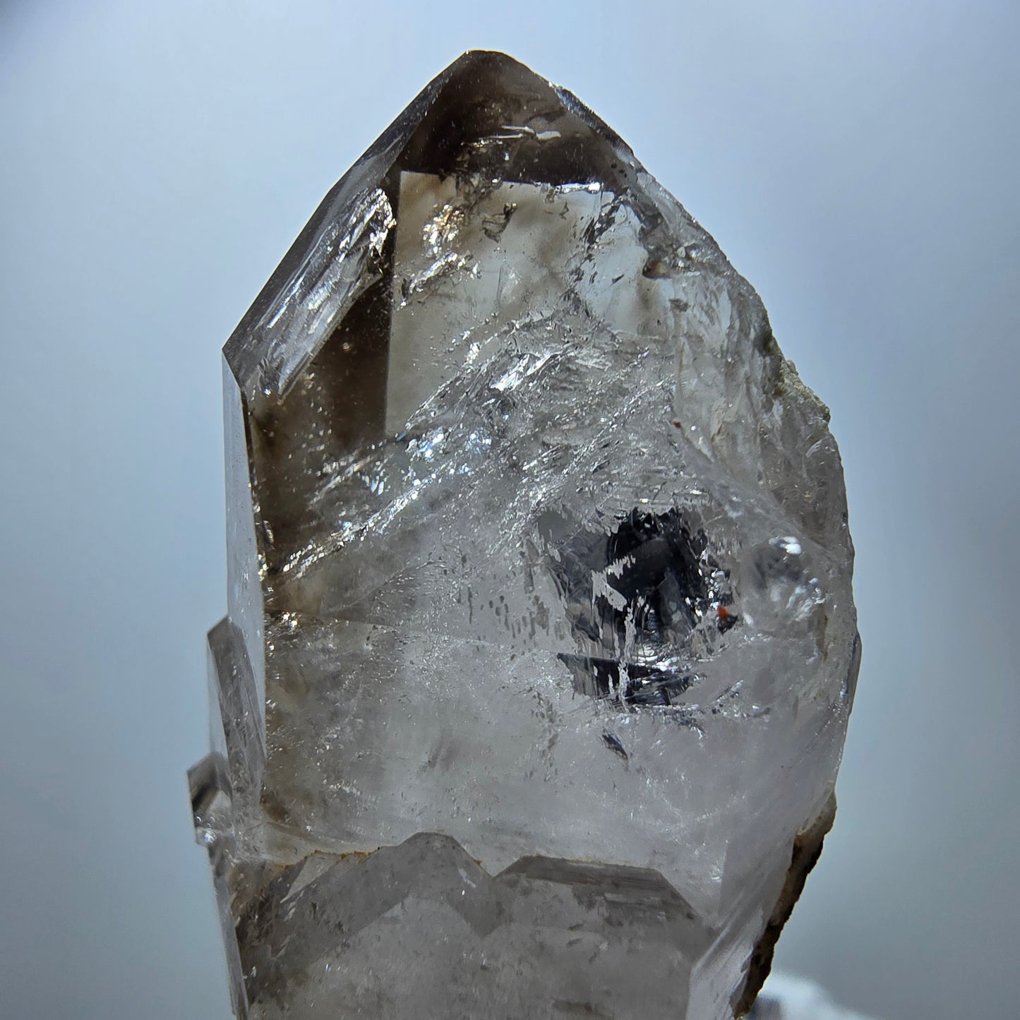 Klarer Phantom Rauchquarz DT Zepter Kristall Goboboseb, Namibia 52*26*22mm
