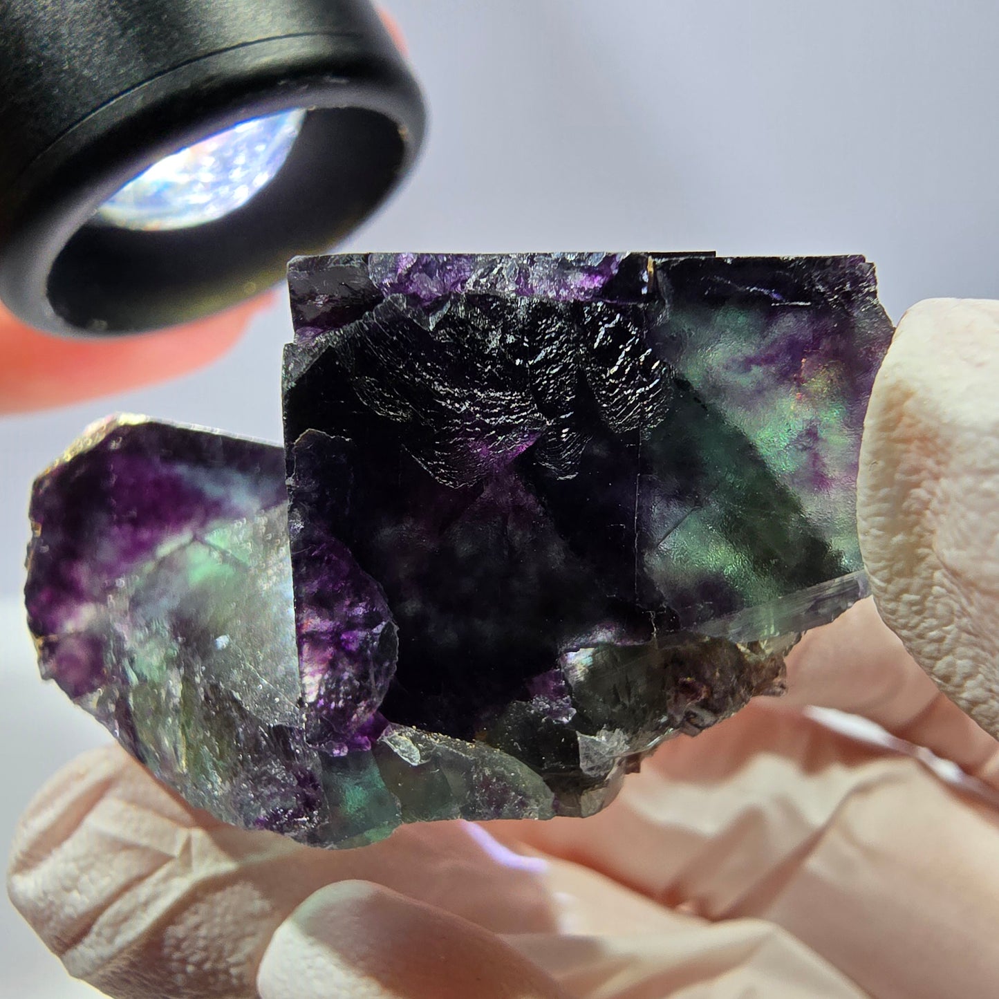 Spécimen de cube de fluorite fantôme, parqueté vert violet Okorusu, Namibie 46*34*25 mm