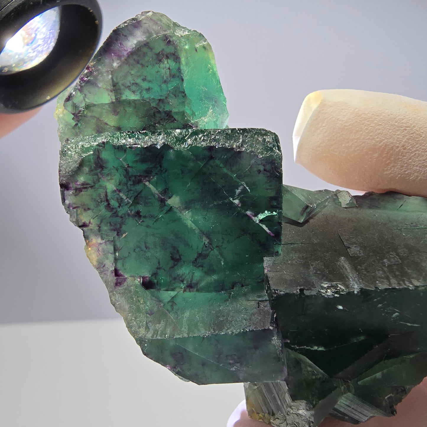 Spécimen de cube de fluorite fantôme parqueté vert violet Okorusu, Namibie 66*42*22mm