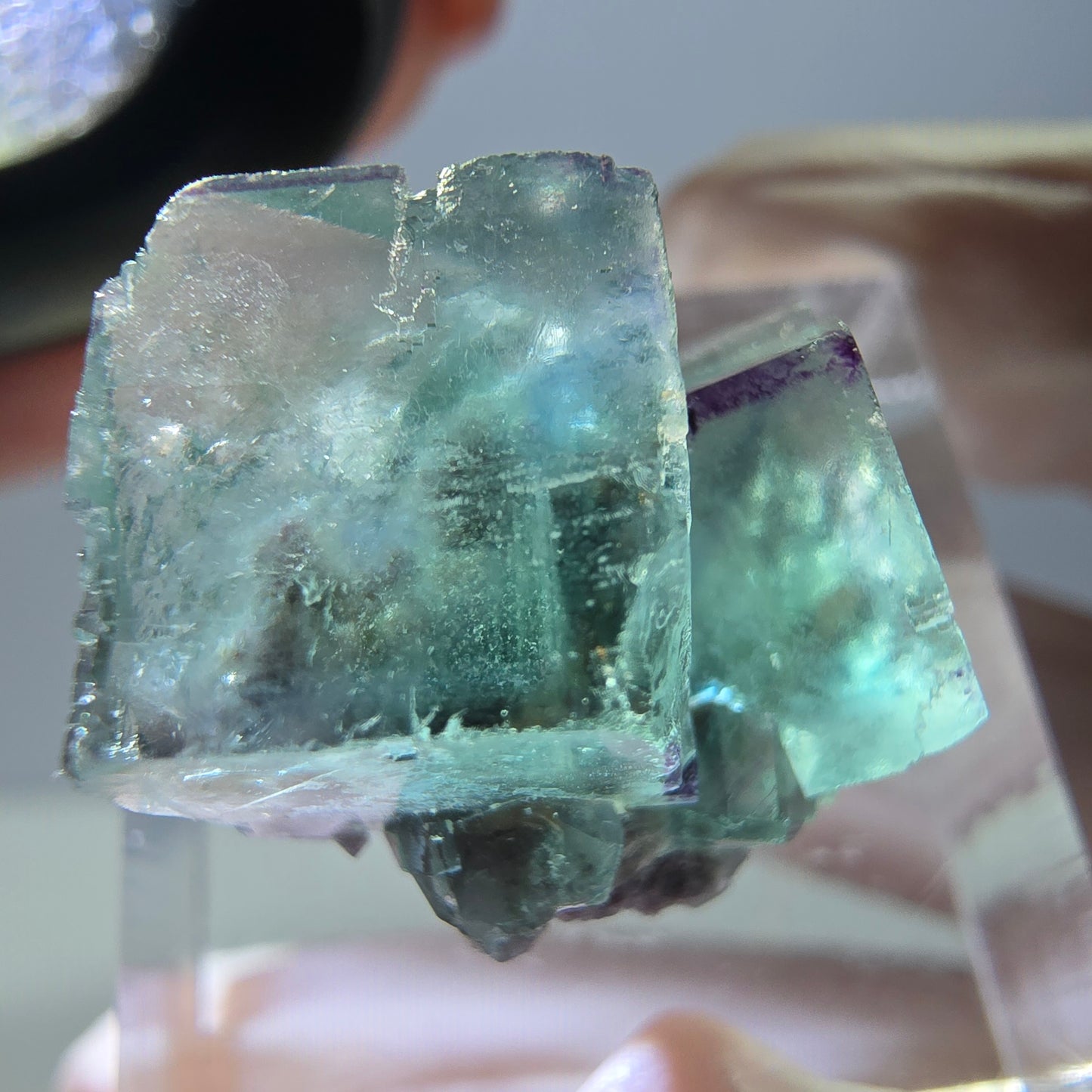 Phantom Fluorit Würfel Stufe, parkettiert, zonal Okorusu, Namibia 21*17*16mm