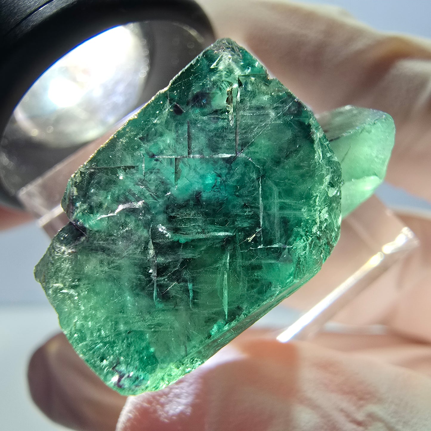 Spécimen de cube de fluorite fantôme, parqueté vert violet Okorusu, Namibie 29*18*14 mm