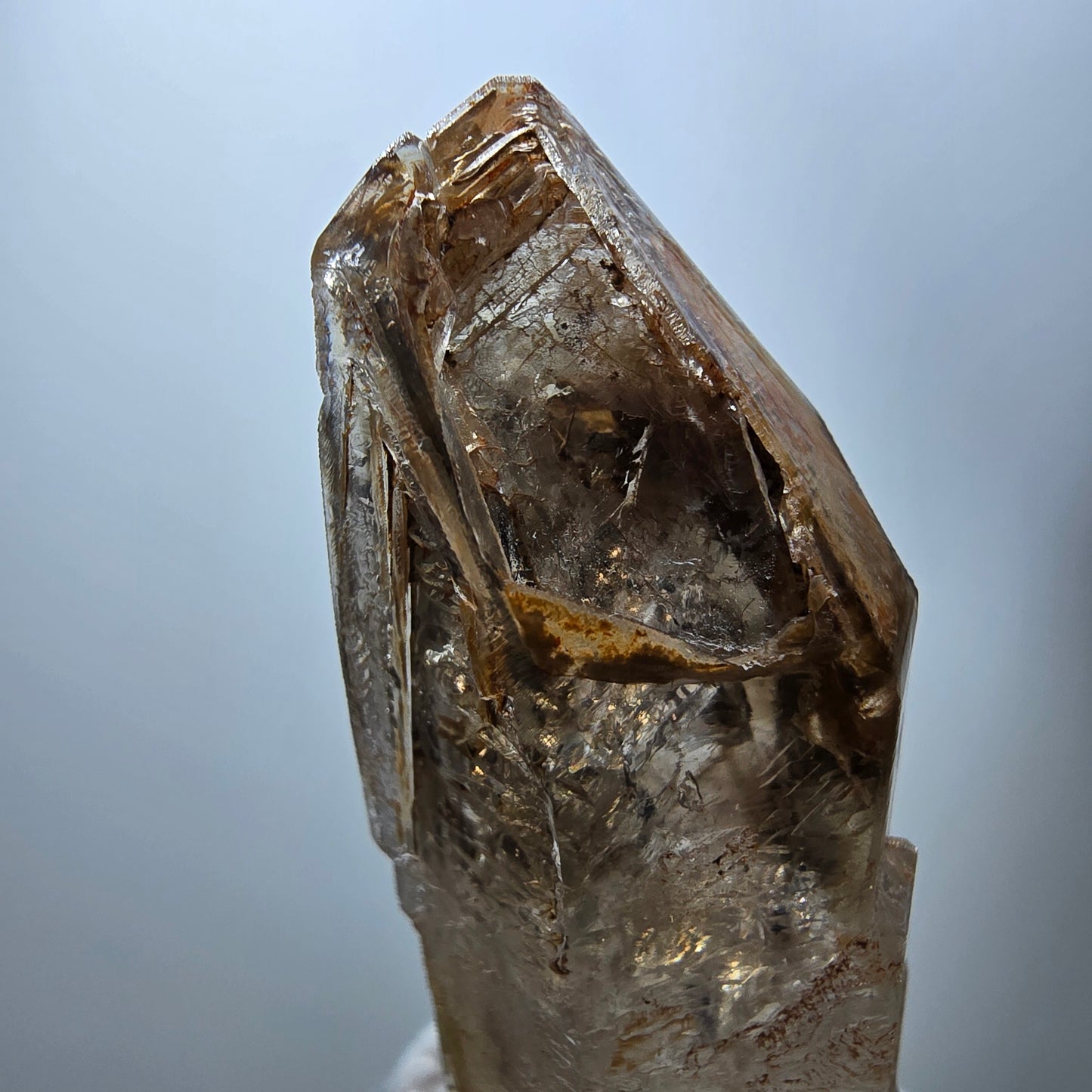 Enhydro Phantom Rauchquarz Fenster Zepter, 3x Blase Goboboseb Namibia 60*22*17mm