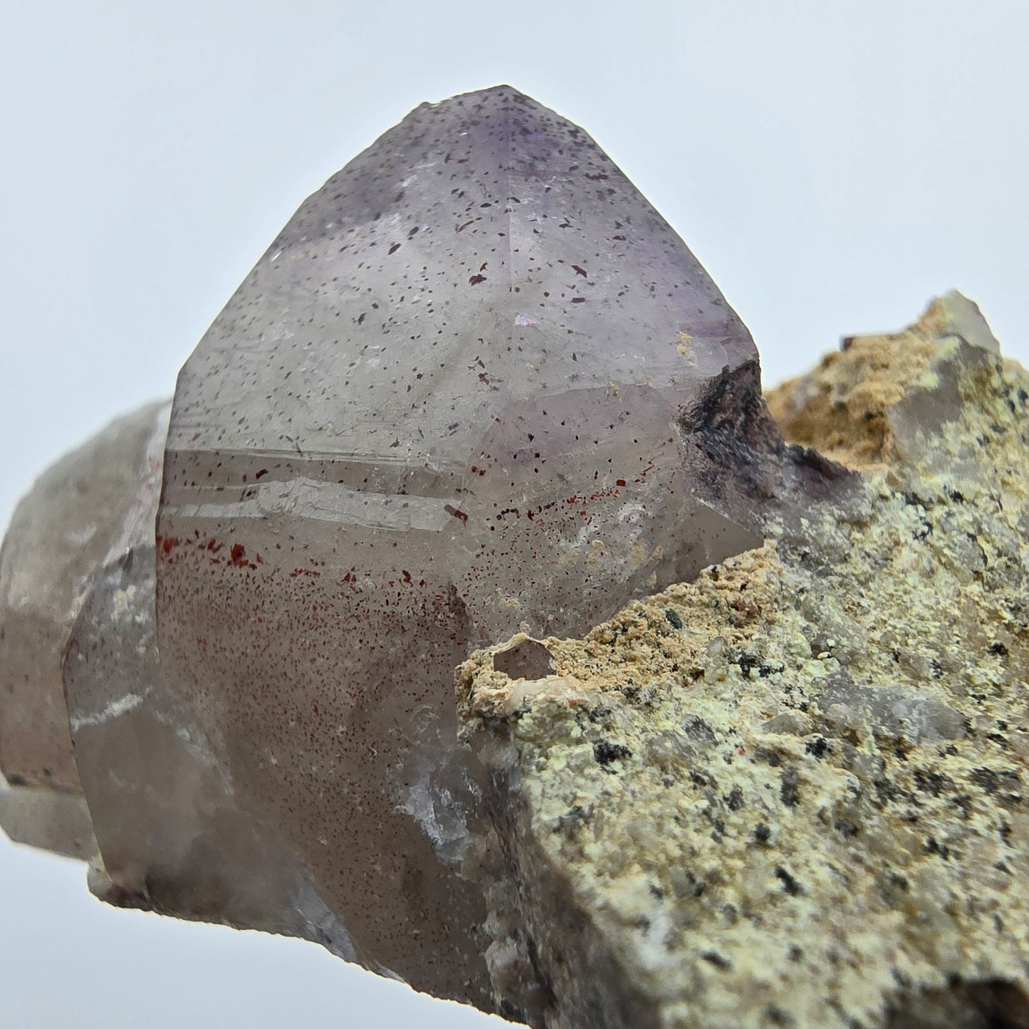 Phantom Amethyst Zepter auf Matrix Goboboseb, Namibia 62*34*30mm Sammlung