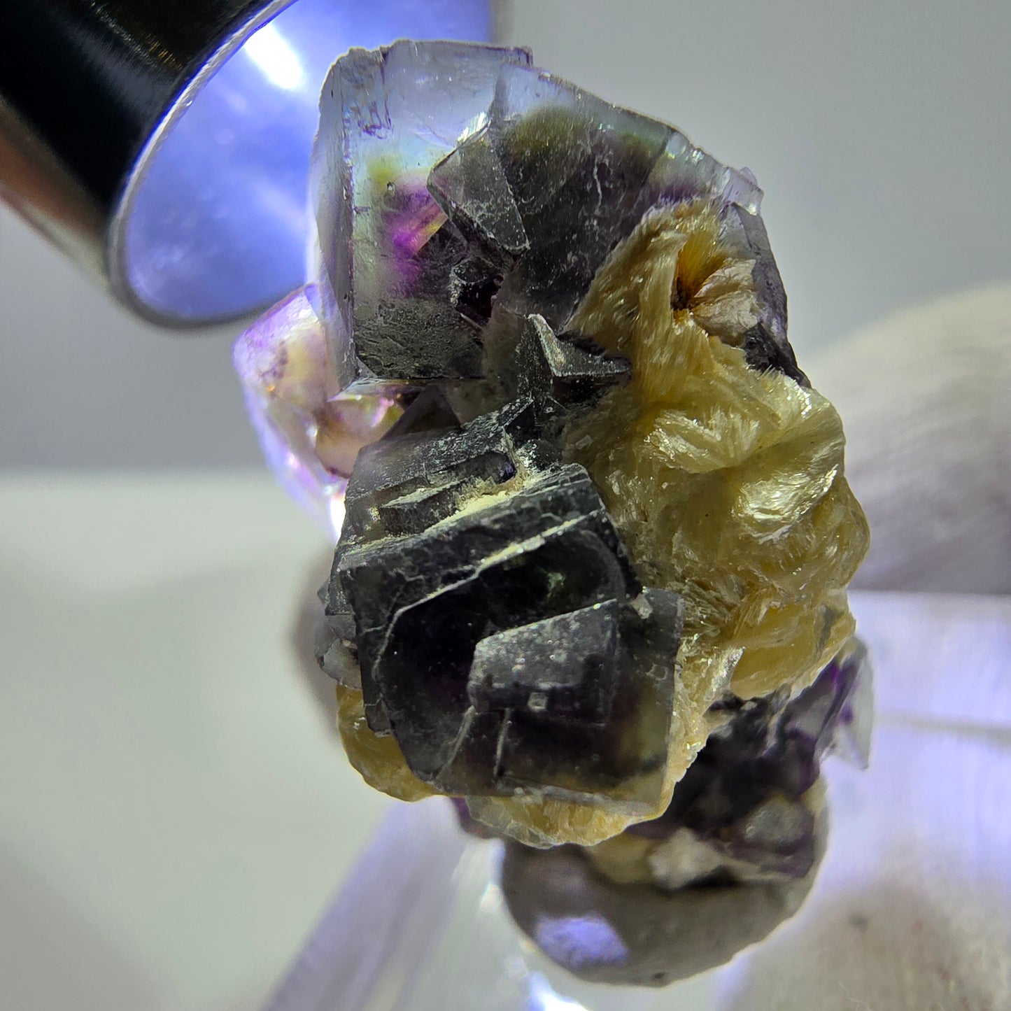 Cubes de fluorite fantôme colorés, spécimen de muscovite, Erongo, Namibie, 28 x 20 x 20 mm