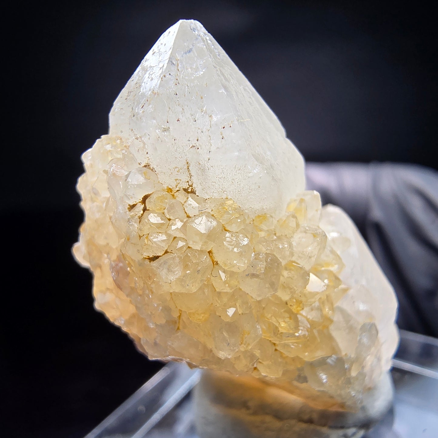 Quartz cactus, quartz spiritueux niveau XX Boekenhouthoek, collection Afrique du Sud 35*23*17