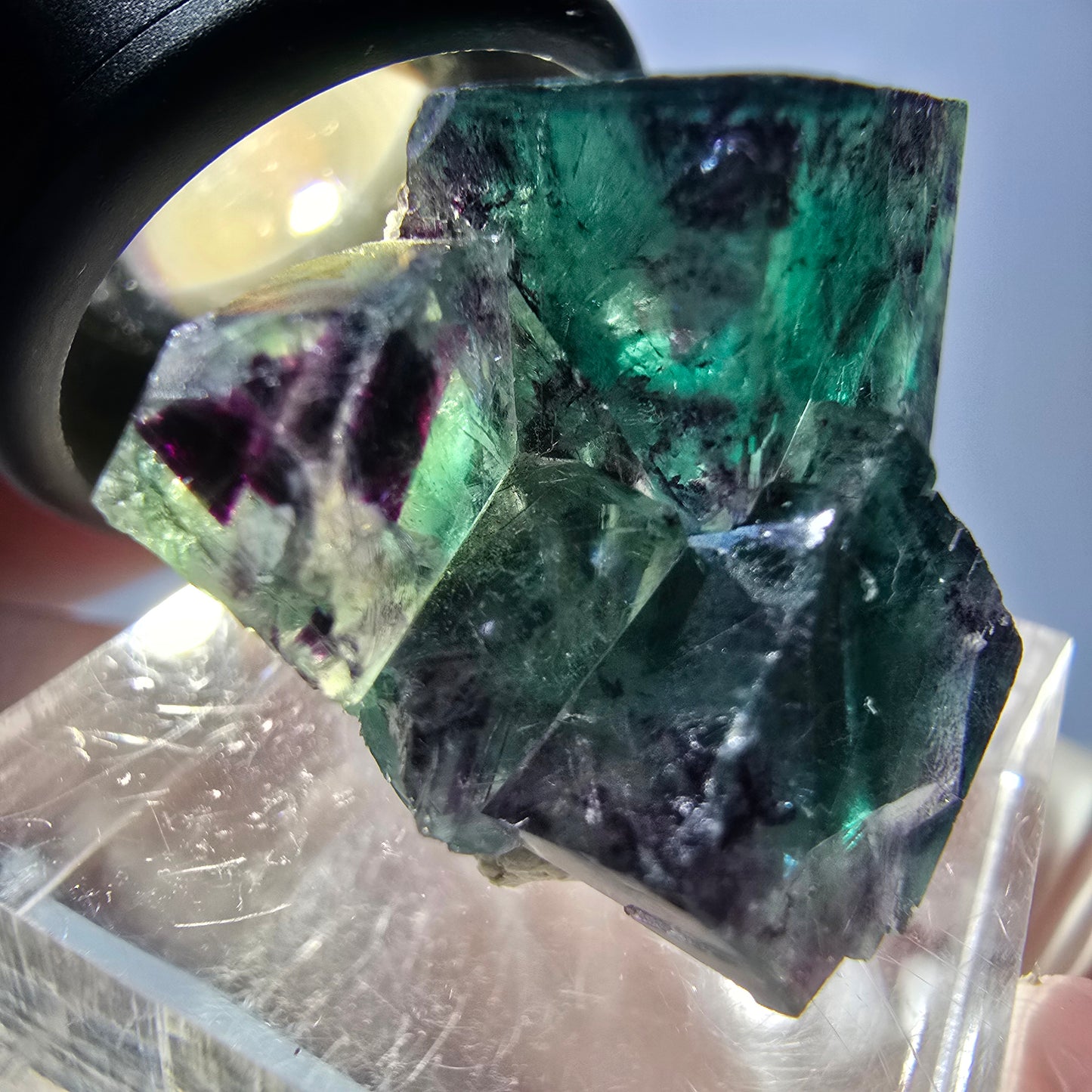 Spécimen de cube de fluorite fantôme, parqueté vert violet Okorusu, Namibie 31*25*20 mm