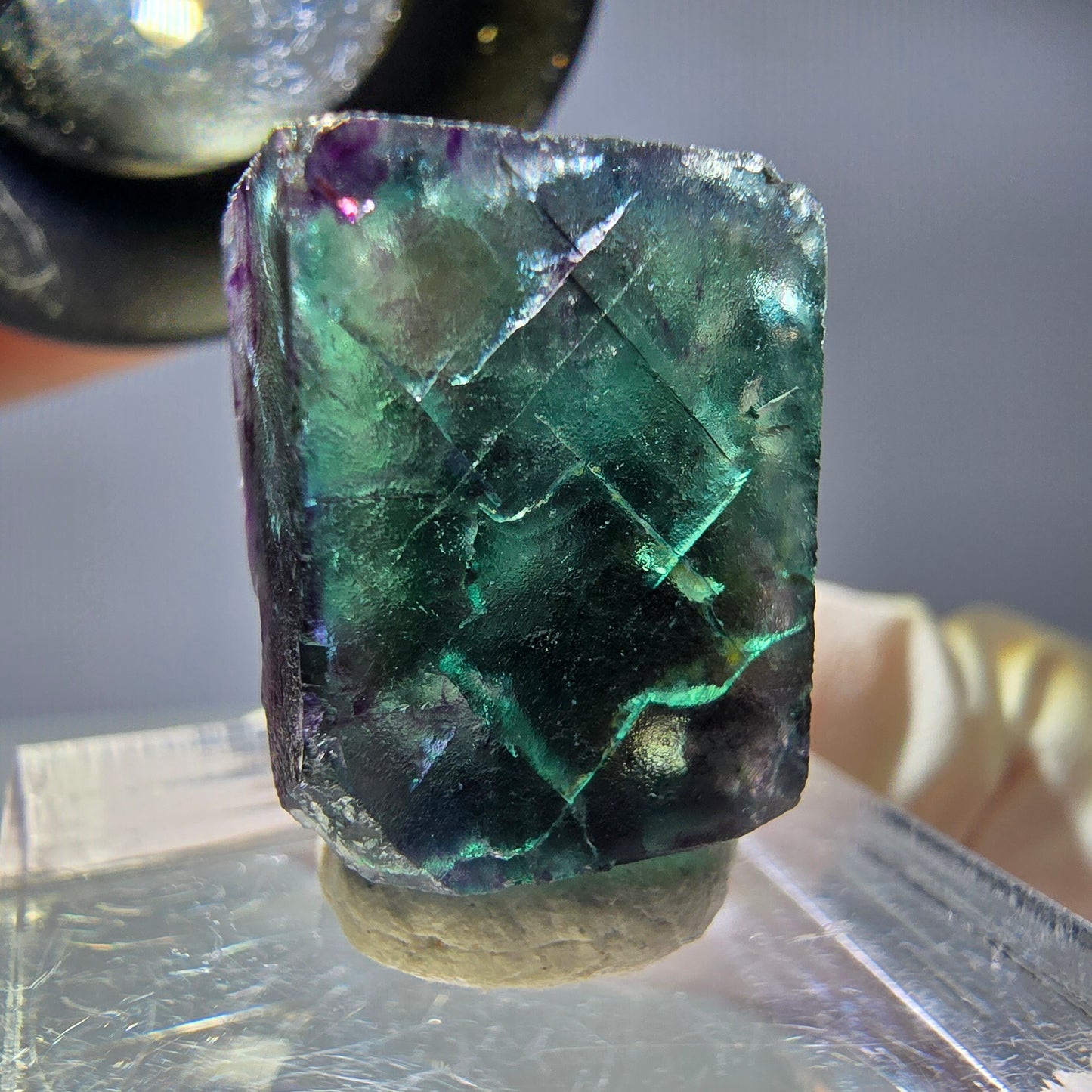 Rare cube de fluorite fantôme parqueté vert violet Okorusu Namibie 20*15*13mm