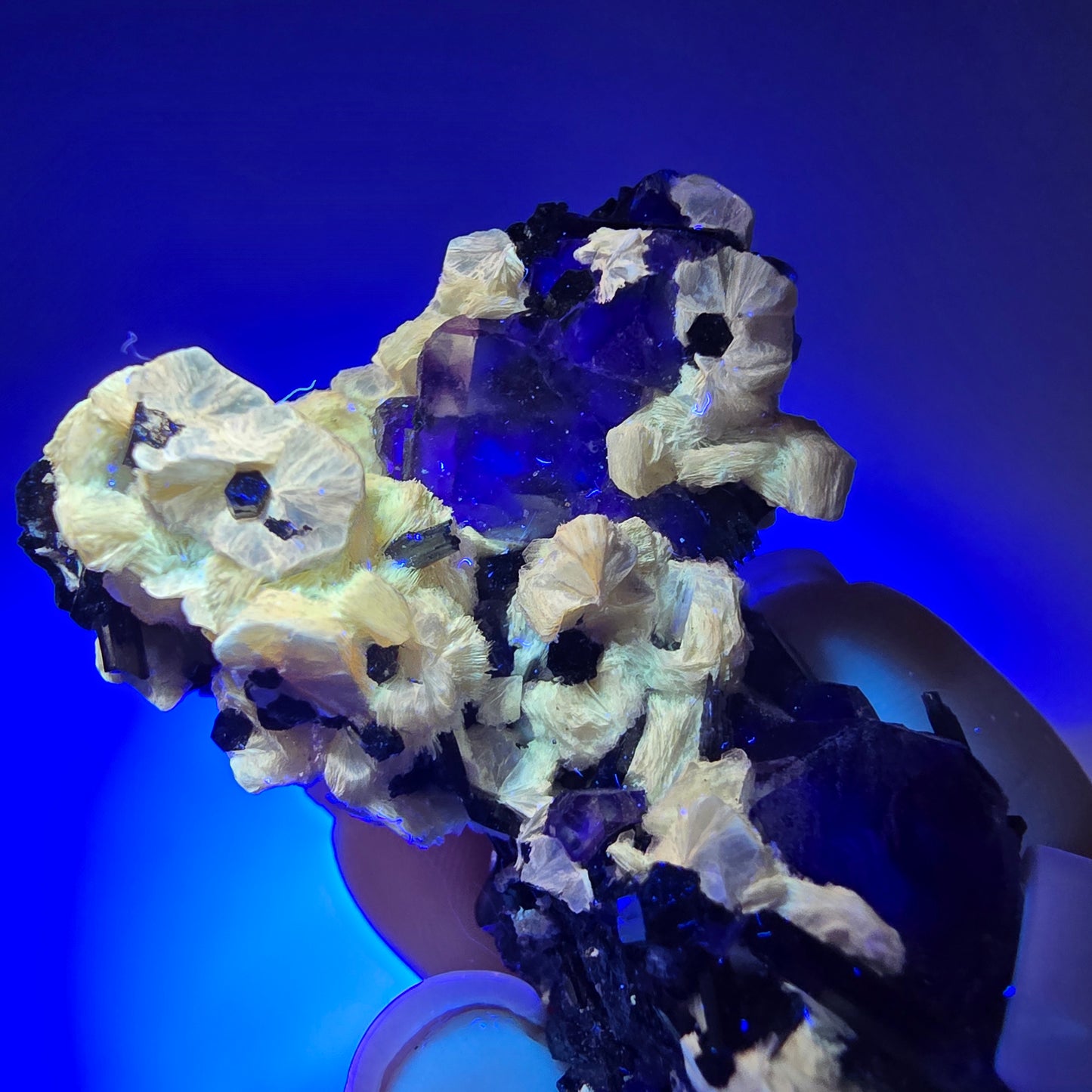 Fluorite fantôme colorée, hyalite, muscovite, tourmaline schol, Erongo, Namibie, 48 x 36 x 24 mm