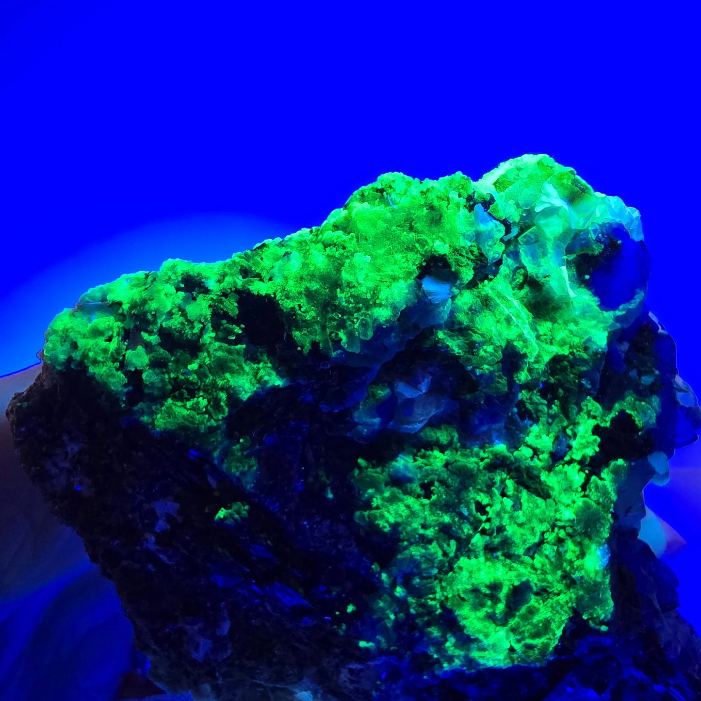 Grande fluorite fantôme, tourmaline schol, hyalite, muscovite, quartz fumé, Erongo, Namibie, 93 x 74 x 24 mm