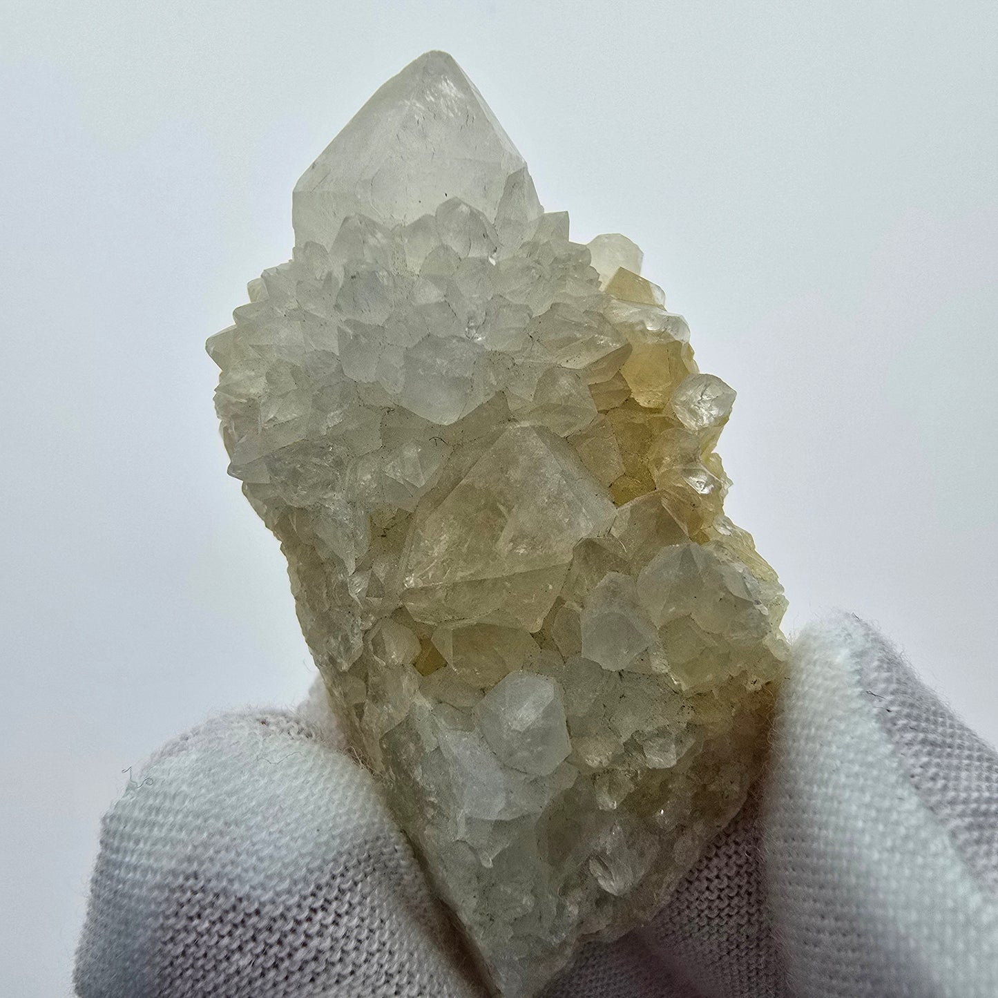 Kaktusquarz, Spirit Quarz XX Stufe Boekenhouthoek, Südafrika 48*26*20mm Sammlung