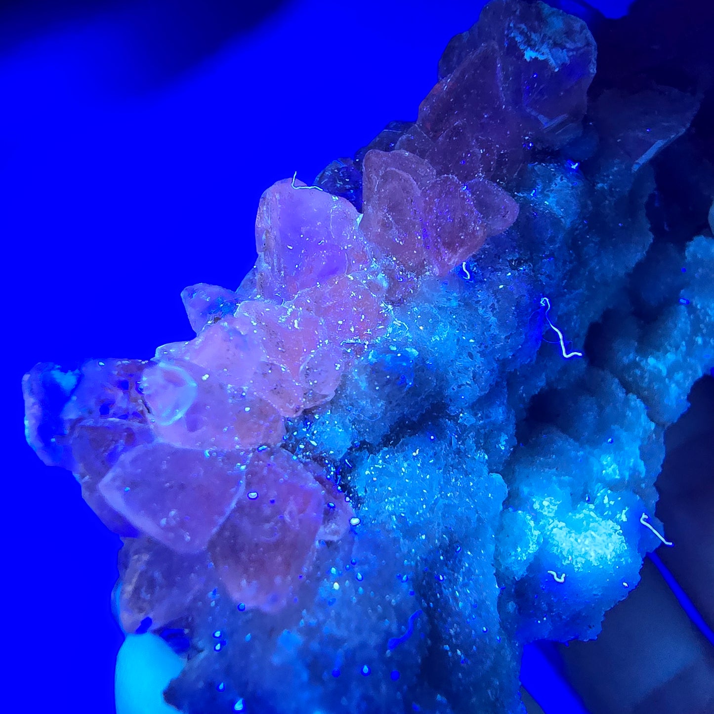 Spécimen rare de calcite UV, mine Valentine Pocket, Goboboseb, Namibie, 88 x 44 x 29 mm