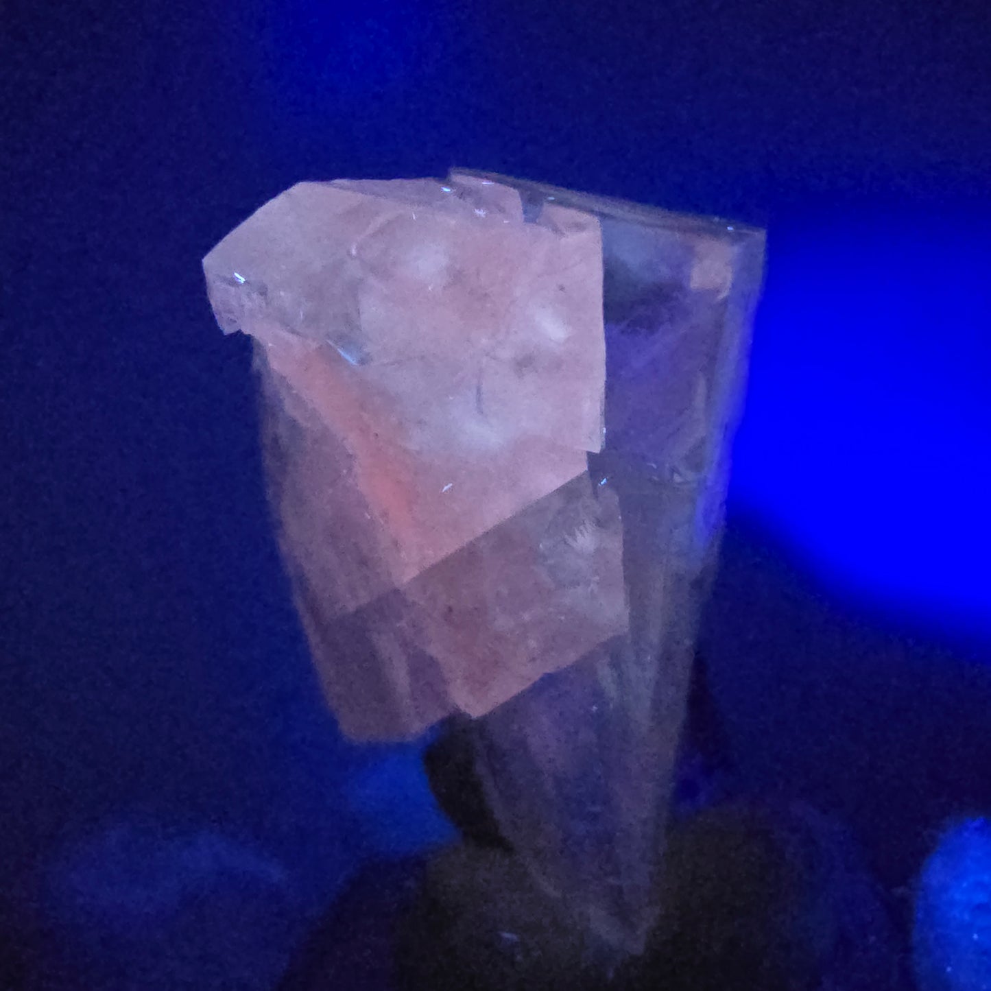 Enhydro Harlequin Améthyste Préhnite UV Calcite Streep Mine Gobo. Namibie 37*31*19mm