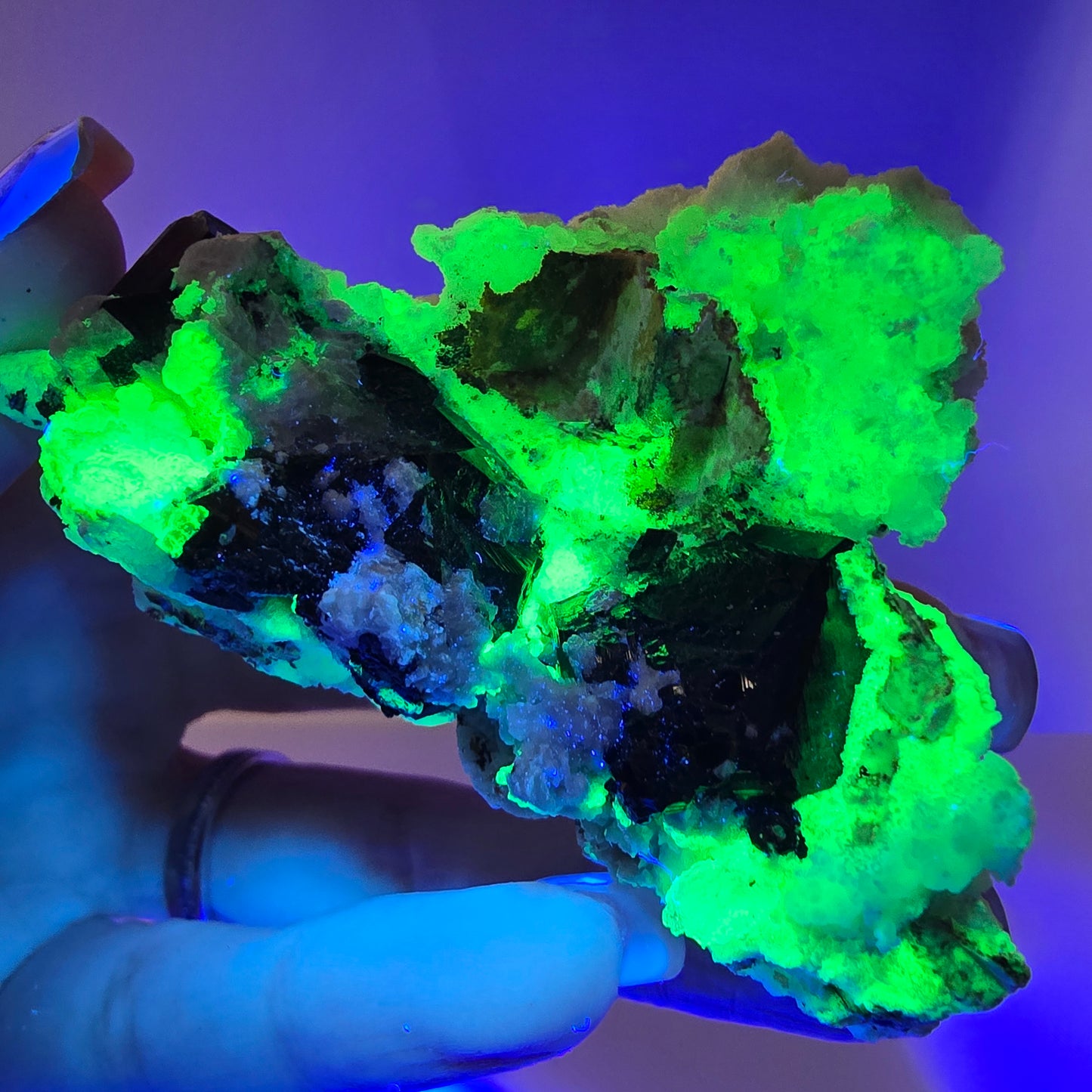 Spécimen rare d'opale hyalite (minéral UV) de tourmaline Schorl, Erongo, Namibie, 64 x 50 x 36 mm