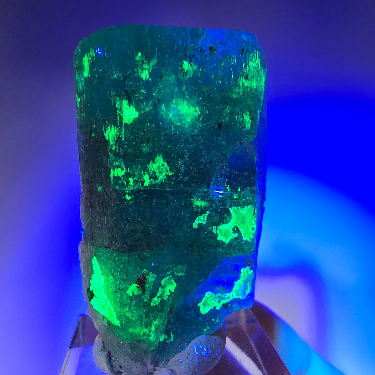 Seltener Aquamarin X mit Hyalit Einschlüssen Erongo, Namibia 42*28*19mm