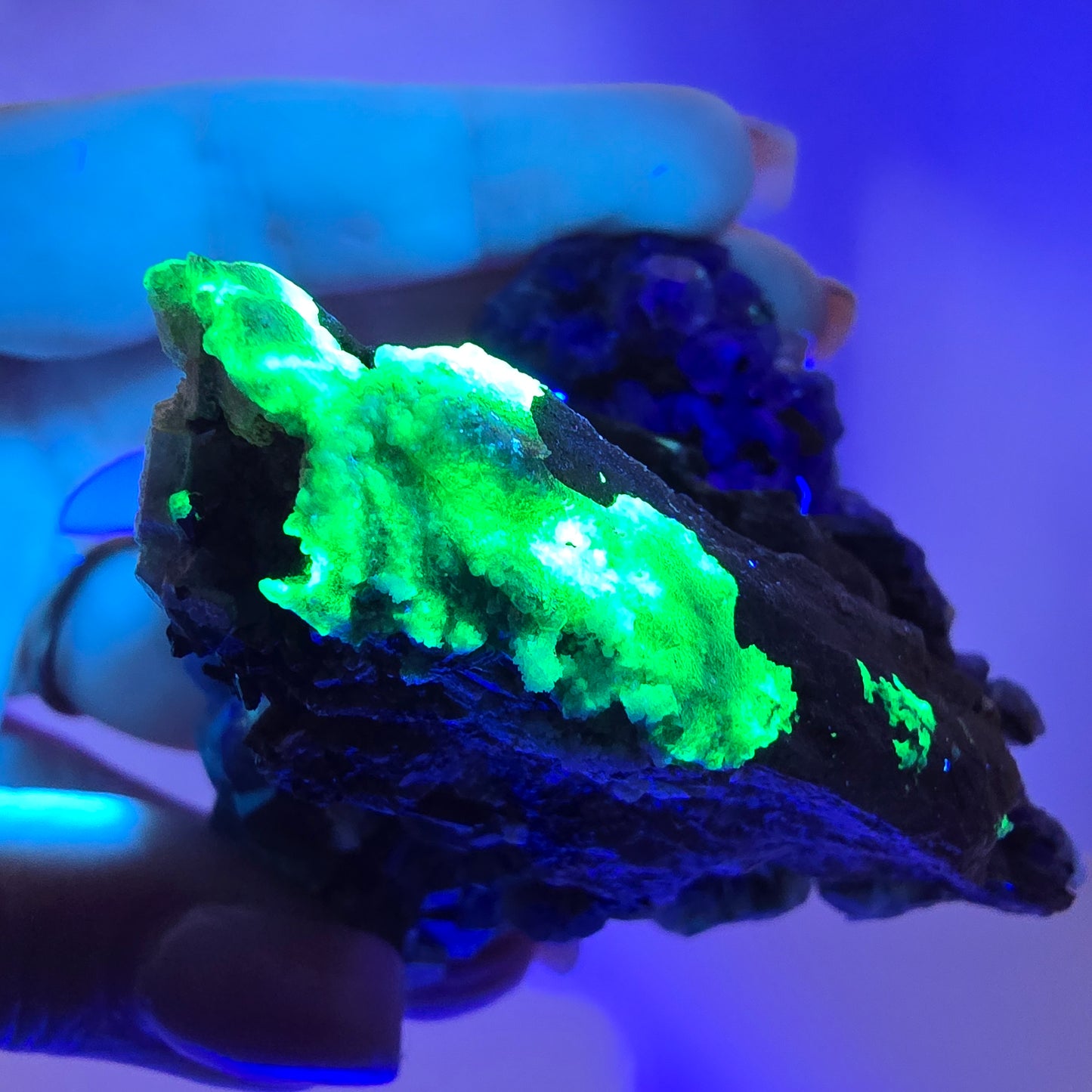 Fluorite fantôme Schörl Tourmaline Hyalite Quartz fumé Erongo Namibie 77*60*57mm