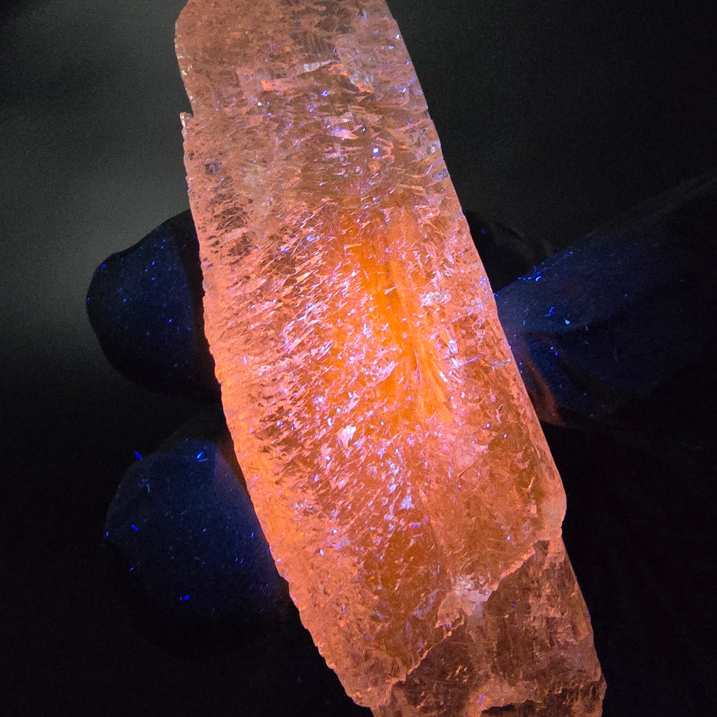 Seltener Kunzit Spodumen Kristall weiß UV Mineral 73*22*13mm Brasilien Sammlung