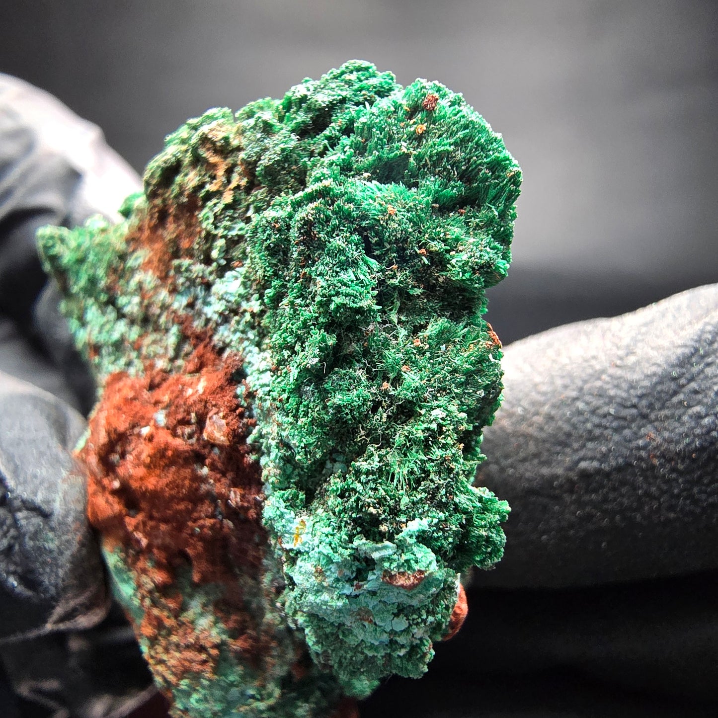 Seltene Malachit auf Matrix Stufe grün Kaokoveld, Namibia 43*33*16mm Sammlung