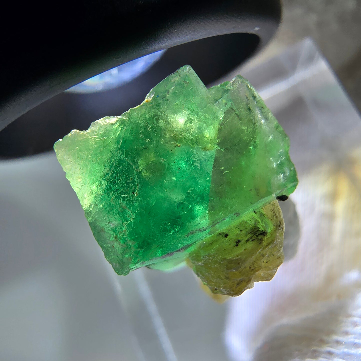 Cube de fluorite fantôme zonal, spécimen de muscovite, Erongo, Namibie, 19 x 13 x 11 mm