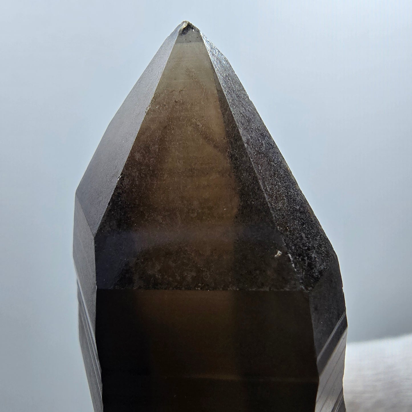 Sceptre de poche en quartz fumé fantôme lémurien Valentine Goboboseb Namibie 72 x 35 x 29 mm