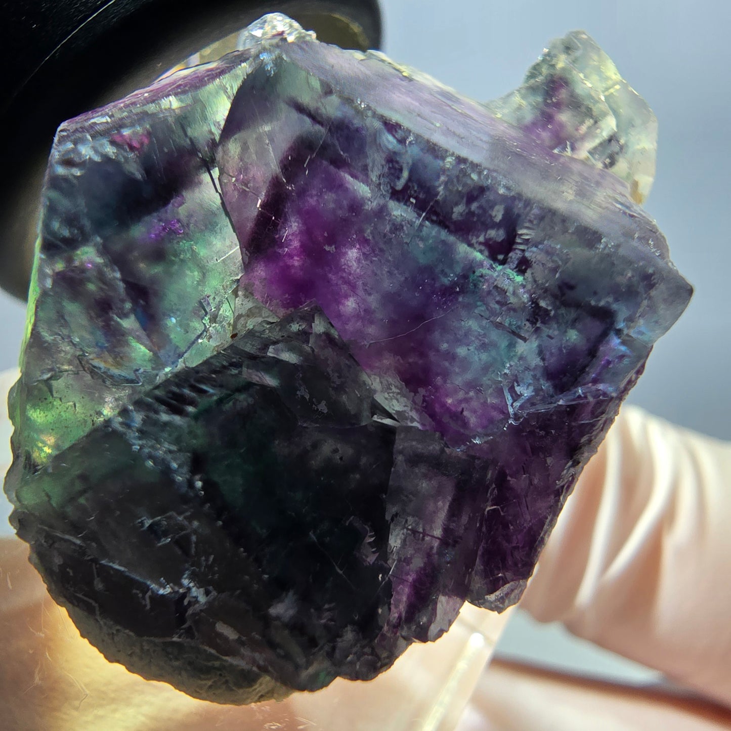 Spécimen de cube de fluorite fantôme, parqueté vert violet Okorusu, Namibie 32*28*17 mm