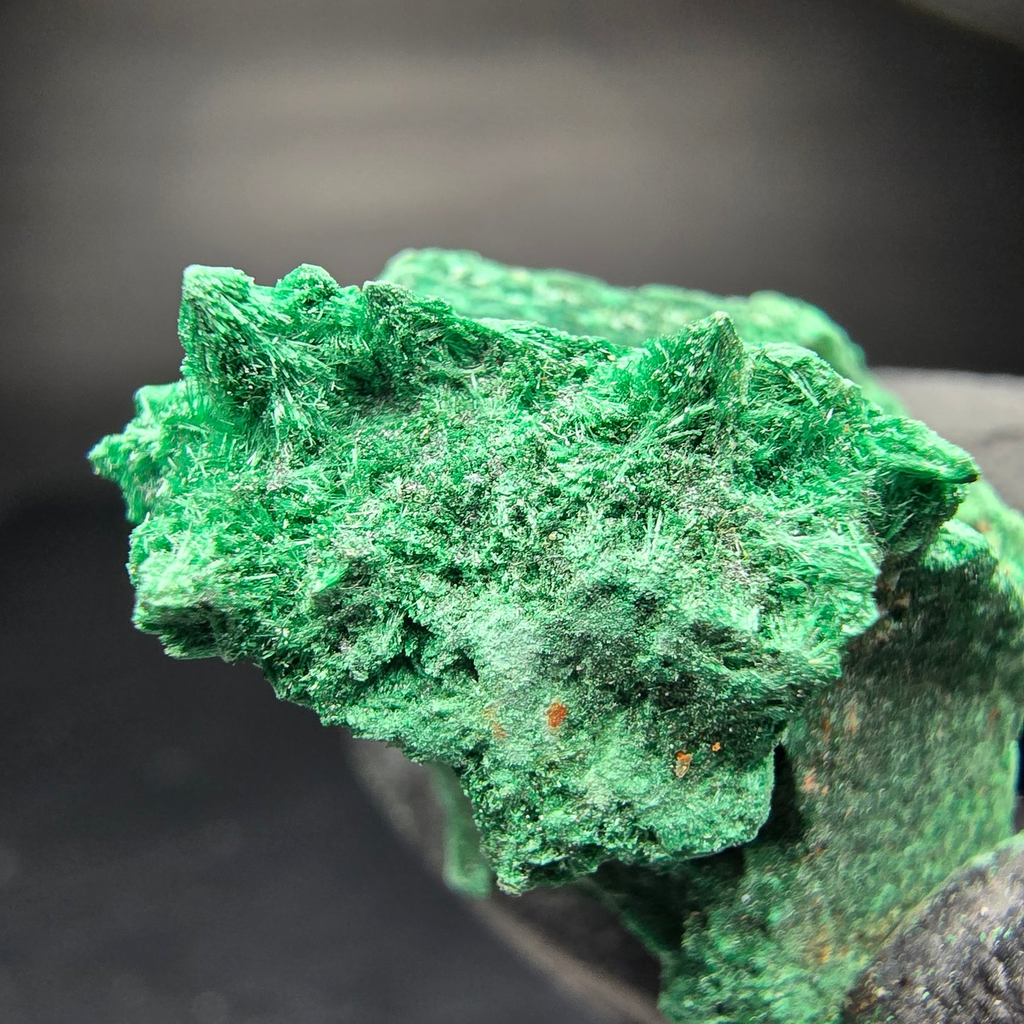 Seltene Malachit Stufe, grün Kaokoveld, Namibia 33*21*16mm Mineraliensammlung