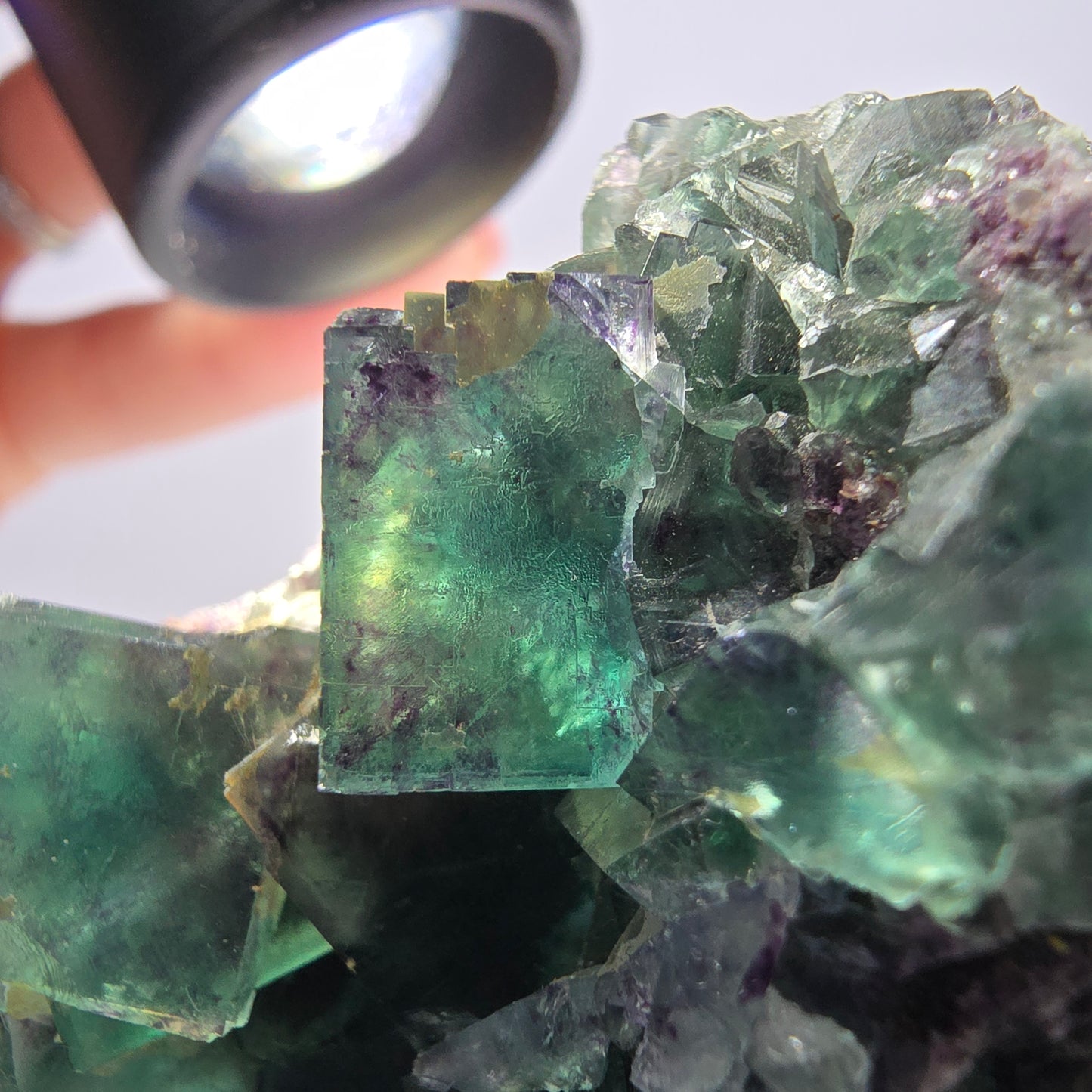 Spécimen de cube de fluorite fantôme parqueté vert violet Okorusu, Namibie 55*48*39mm