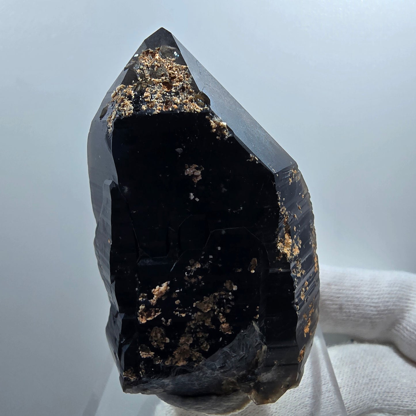 Sceptre de poche en quartz fumé squelette fantôme lémurien, Goboboseb de la Saint-Valentin, Namibie, 66 x 41 x 36 mm