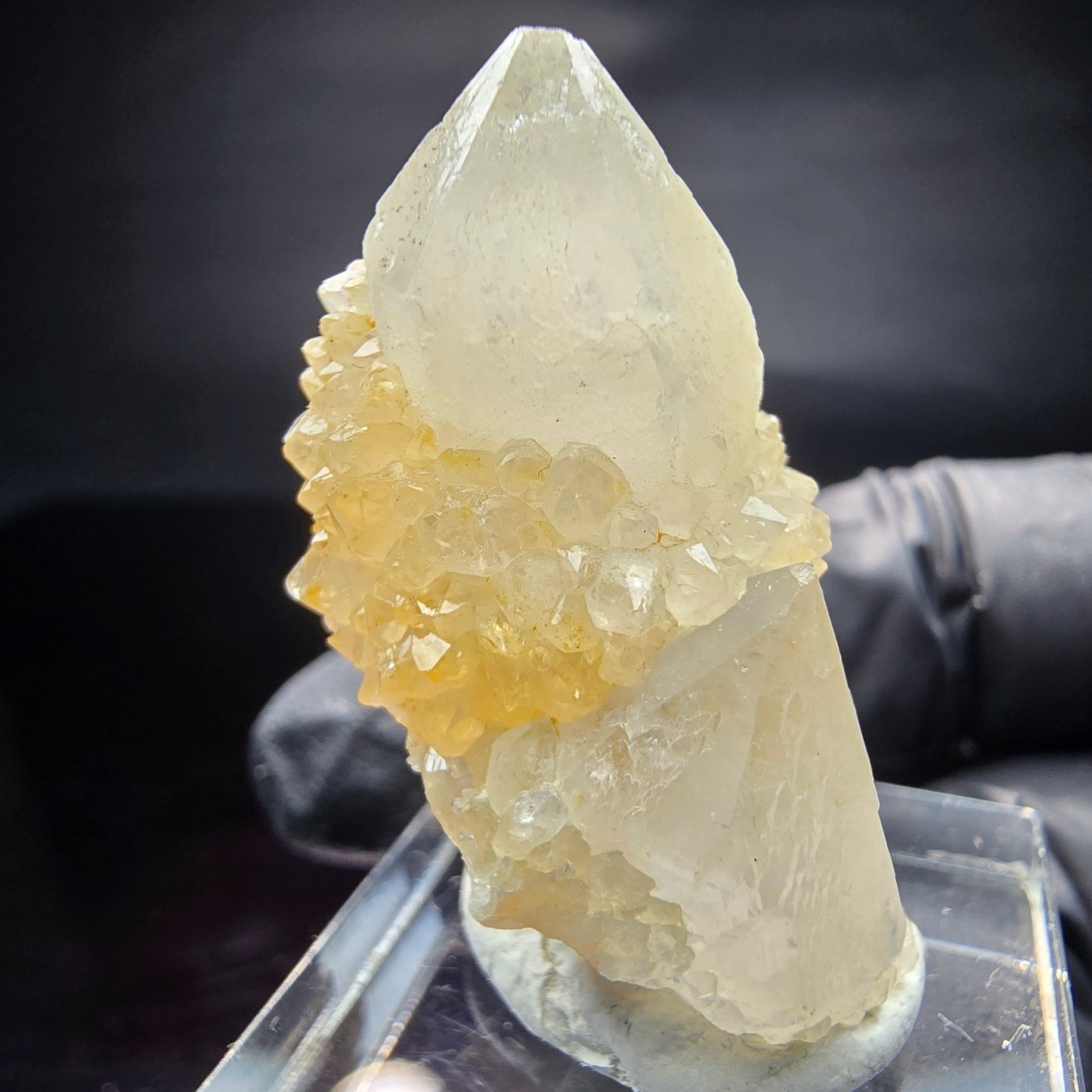 Quartz cactus, quartz spiritueux niveau XX Boekenhouthoek, collection Afrique du Sud 35*23*17