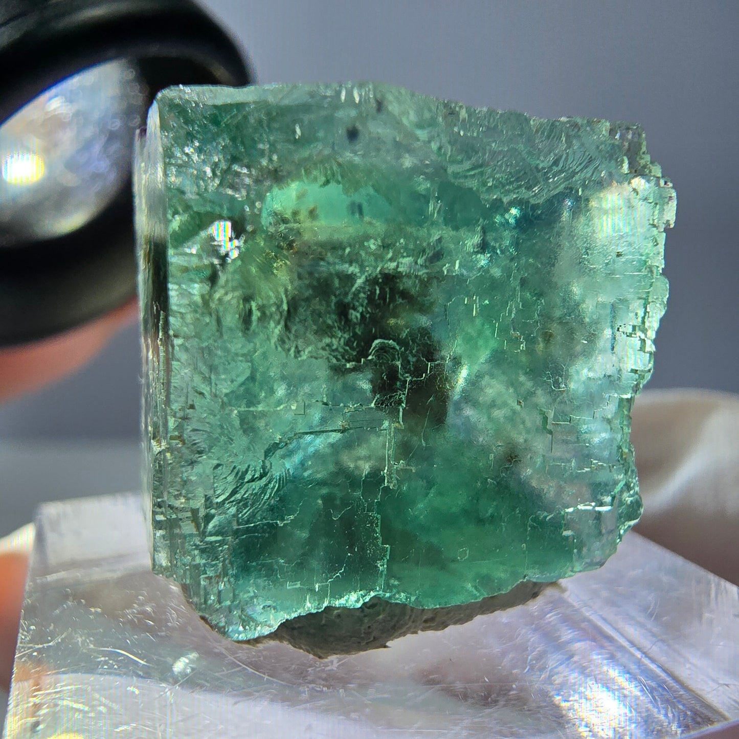 Cube de fluorite fantôme transparente parquetée, vert Okorusu, Namibie 19 x 19 x 15 mm