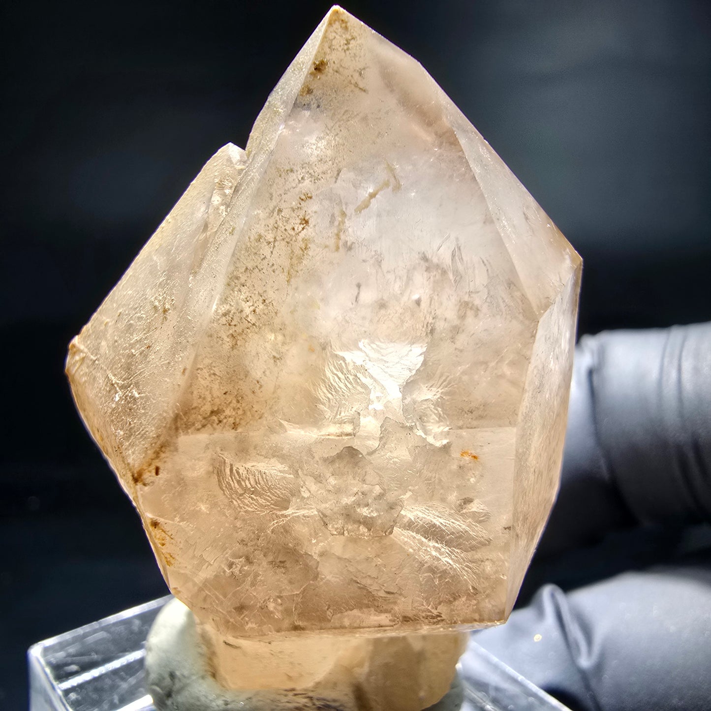 Schöne Phantom Rauchquarz Zepter Spitze Erongo, Namibia 44*31*26mm Sammlung