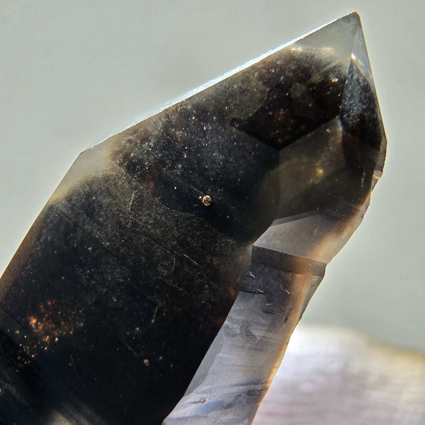 Skeleton Phantom Smoky Quartz DT Scepter Valentine Pocket, Namibia 59*18*15mm