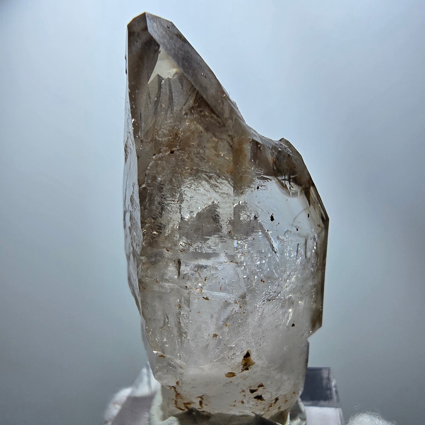 Klarer Phantom Rauchquarz Zepter Kristall Goboboseb, Namibia 47*24*21mm