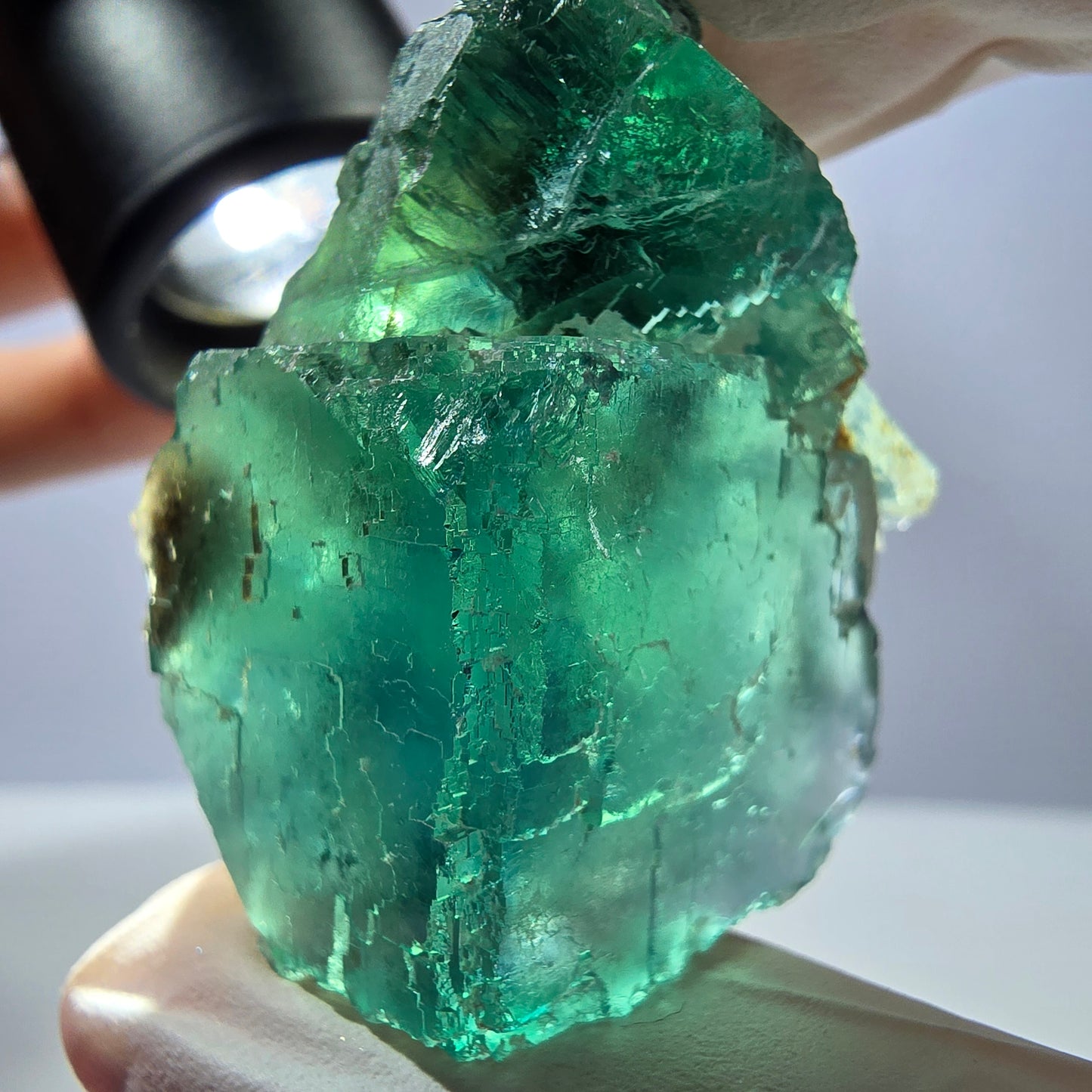 Spécimen de cube de fluorite fantôme transparente, vert parqueté, Okorusu, Namibie, 40 x 35 x 24 mm