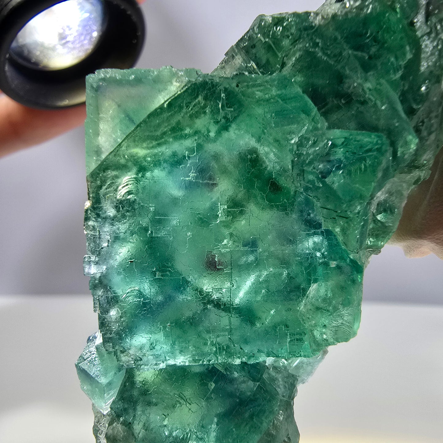 Spécimen de cube de fluorite fantôme transparente, vert parqueté, Okorusu, Namibie, 64 x 35 x 16 mm