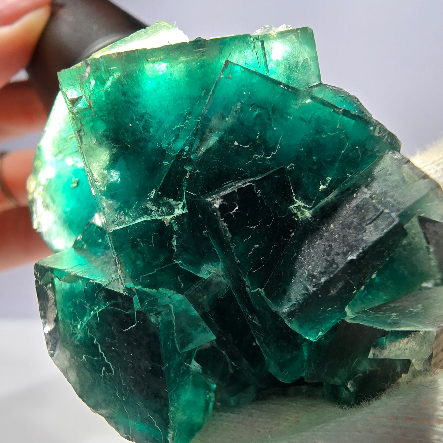 Rare spécimen de cube de fluorite fantôme, parqueté vert Okorusu, Namibie, 60 x 46 x 30 mm