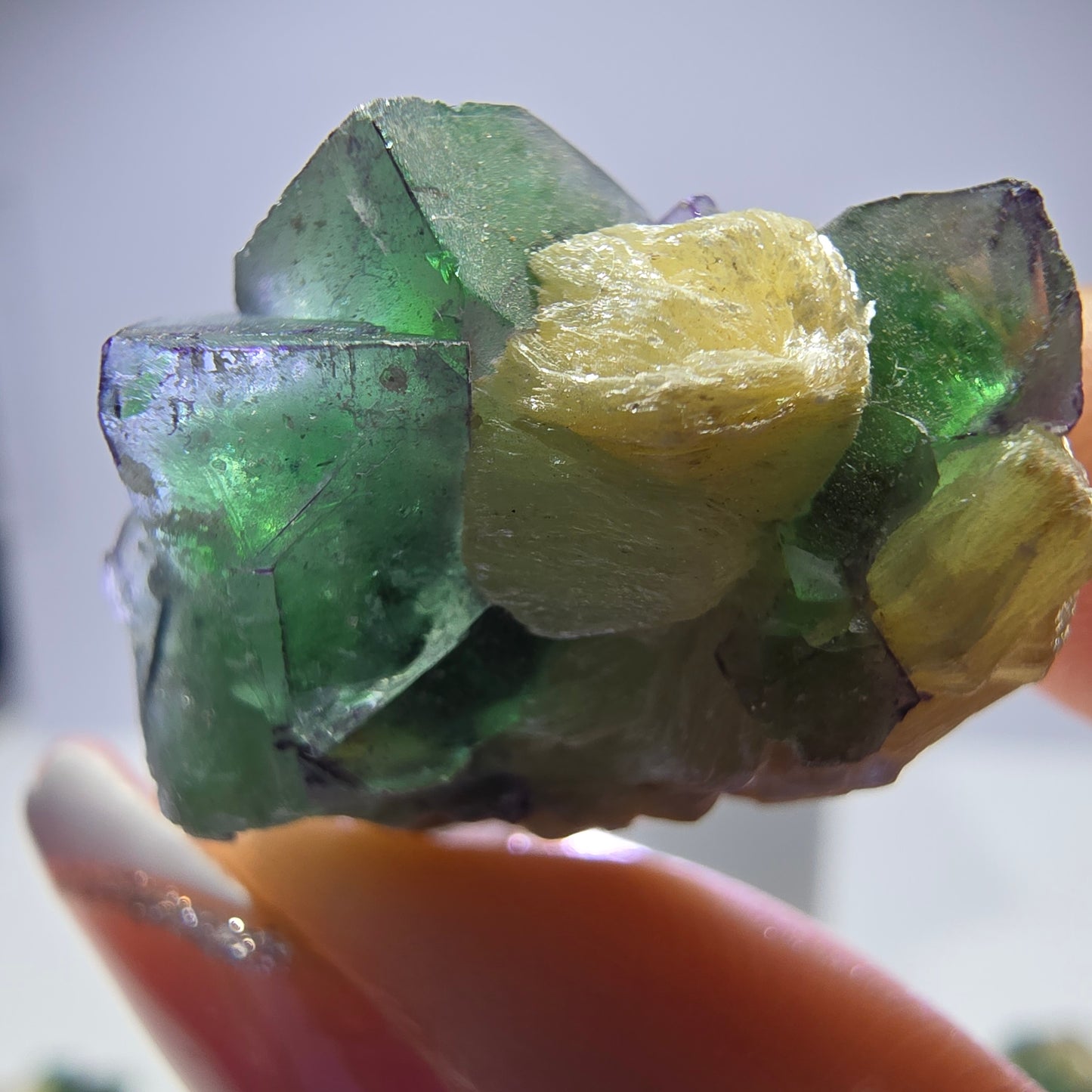 Lot de 16 fluorites fantômes, hyalites, tourmalines Schörl, muscovites, marches d'Erongo, Namibie