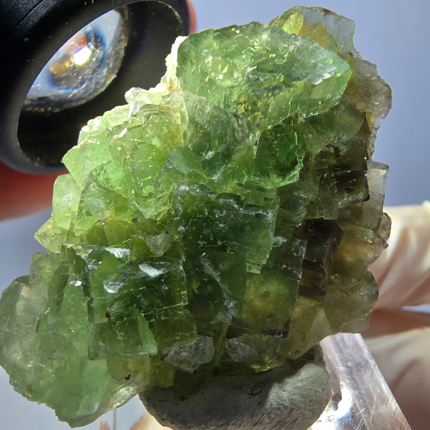Rare spécimen de cube de fluorite fantôme, vert Okorusu, Namibie 45 x 33 x 17 mm
