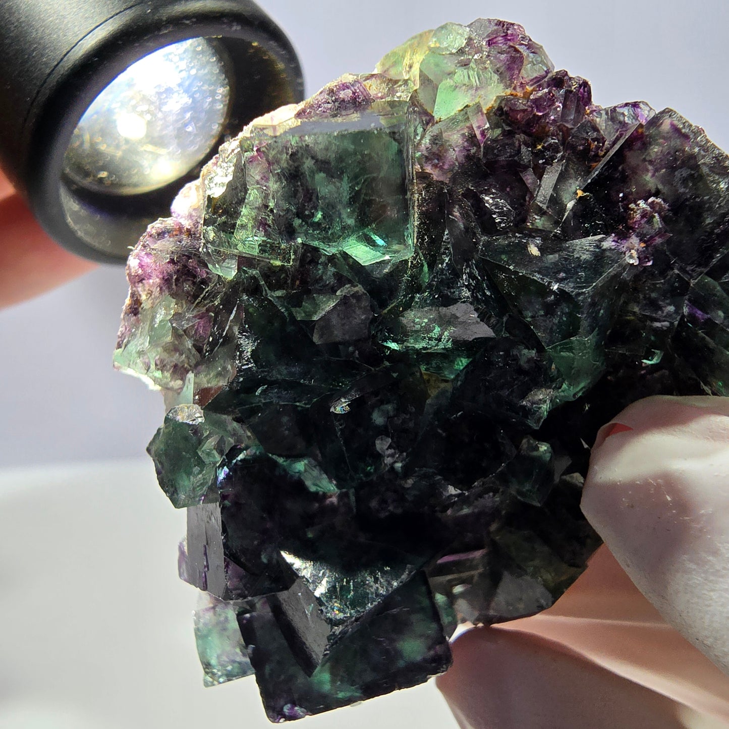 Spécimen de cube de fluorite fantôme parqueté vert violet Okorusu, Namibie 52*42*16 mm