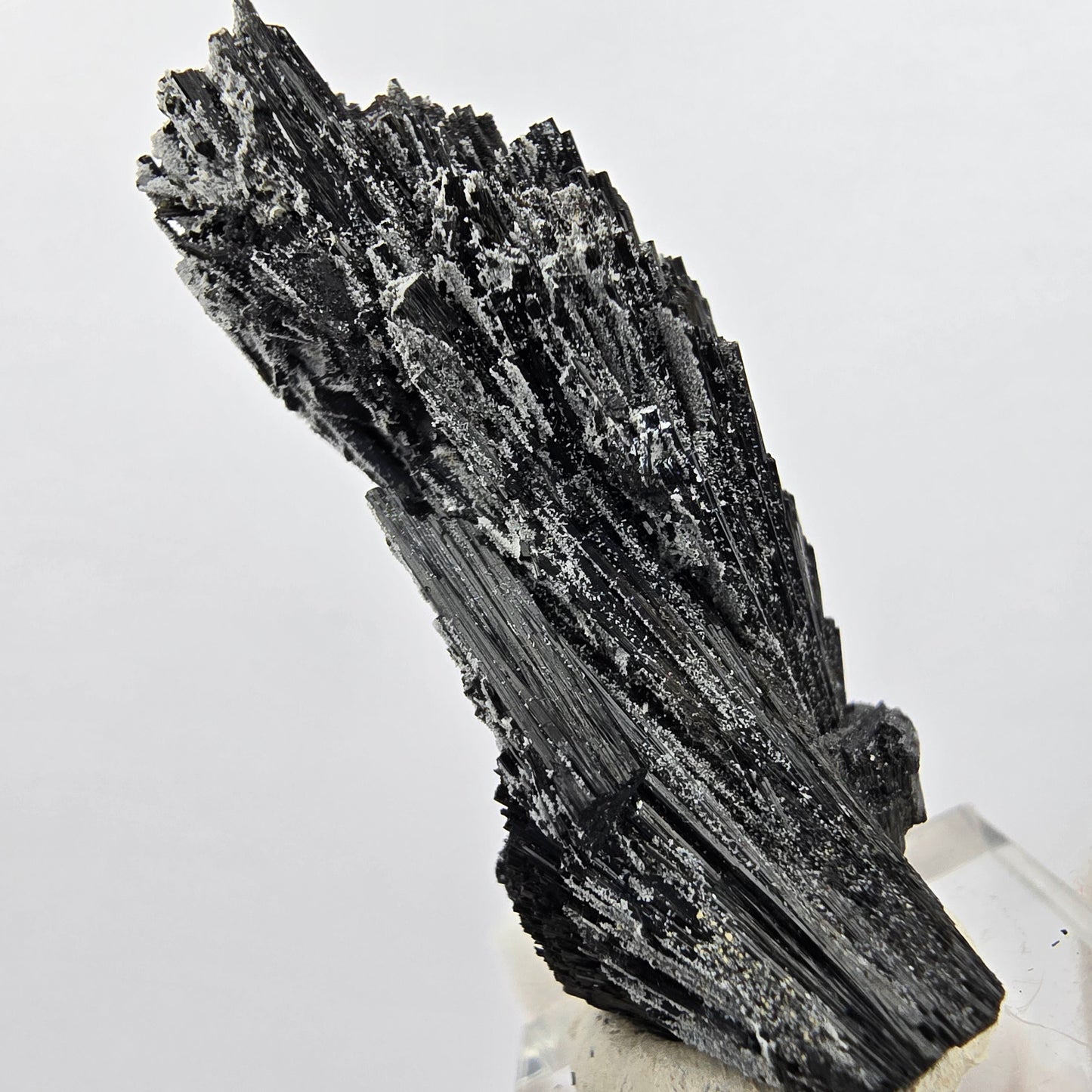 Seltene Schörl Turmalin Stufe schwarz Erongo, Namibia 50*23*22mm Sammlung