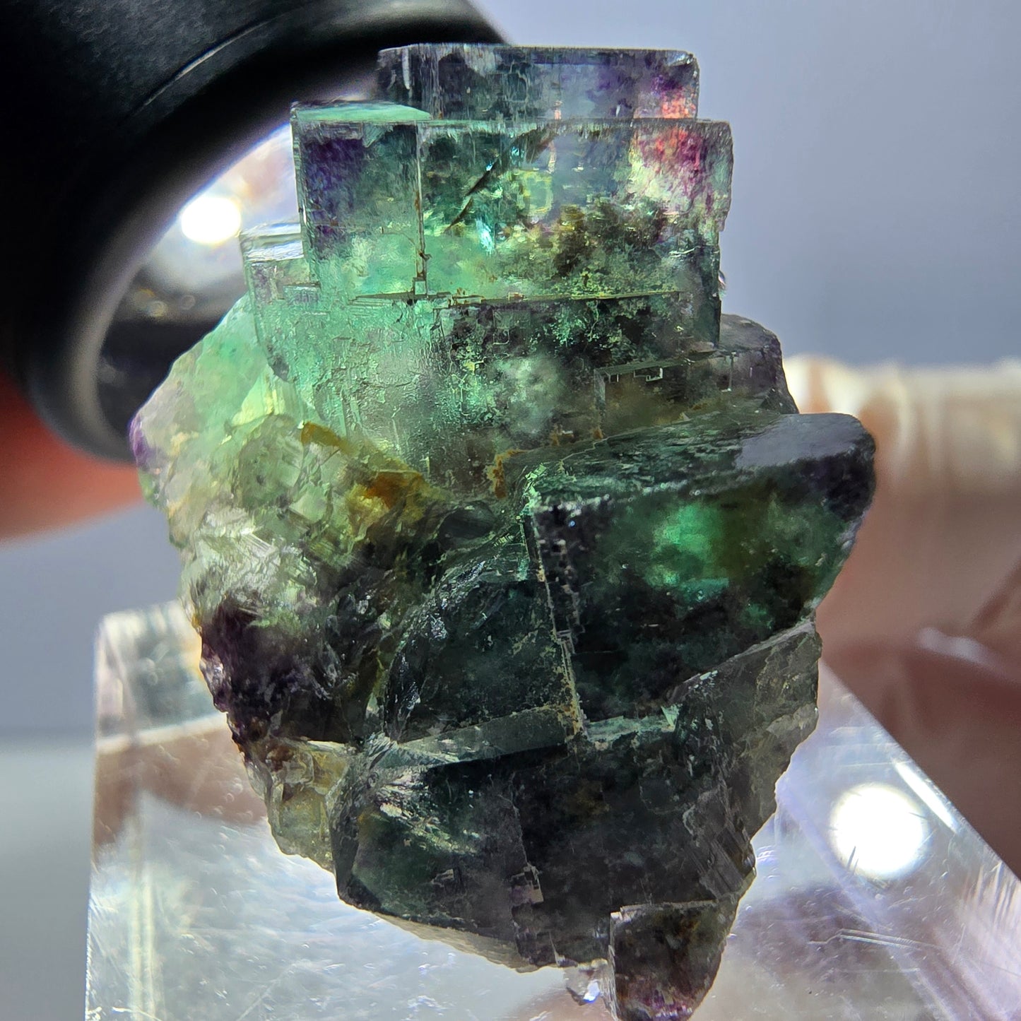 Spécimen de cube de fluorite fantôme, parqueté vert violet Okorusu, Namibie 31*25*18 mm