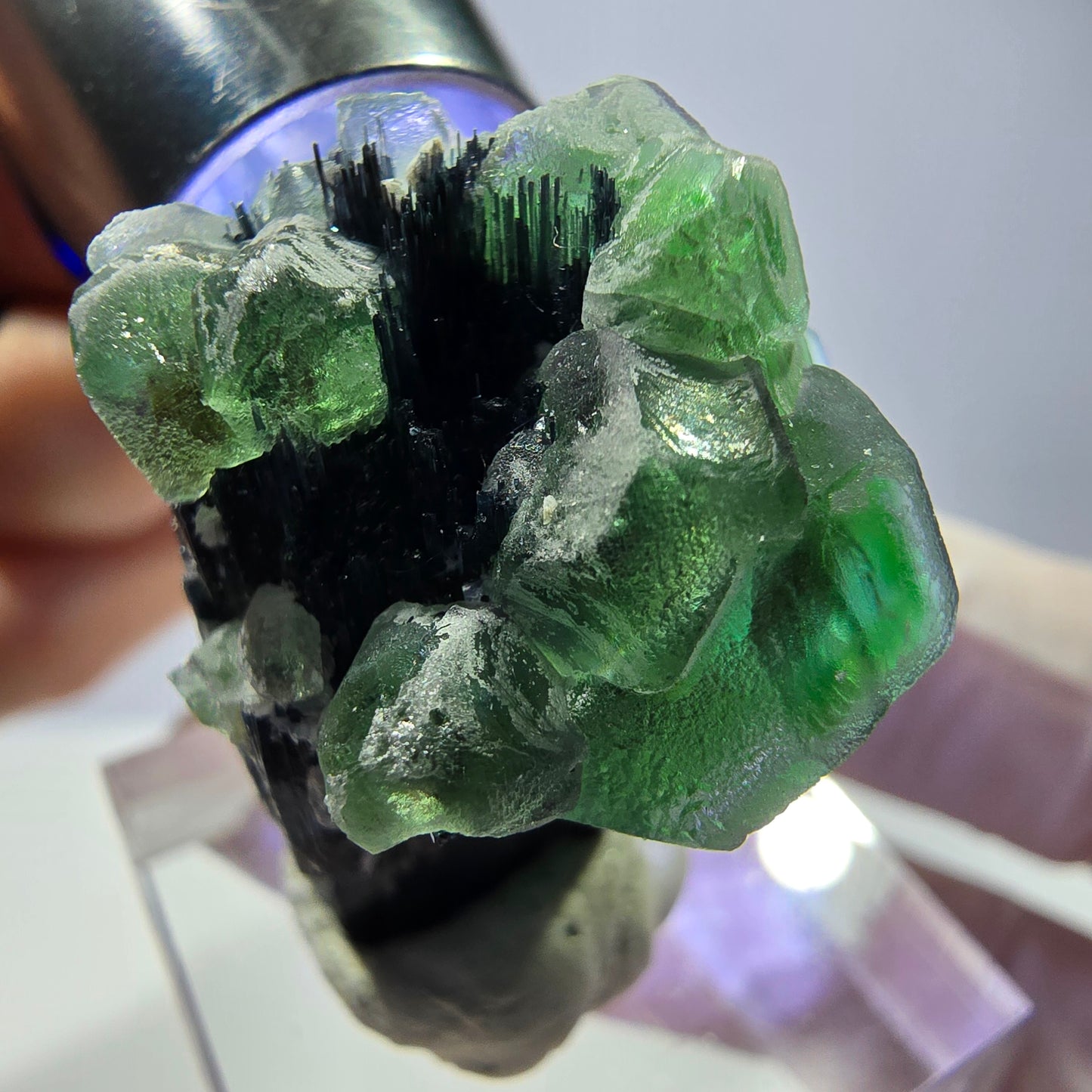 Cube de fluorite fantôme hexagonal, muscovite, tourmaline Schörl Erongo, Namibie 29*21*21mm