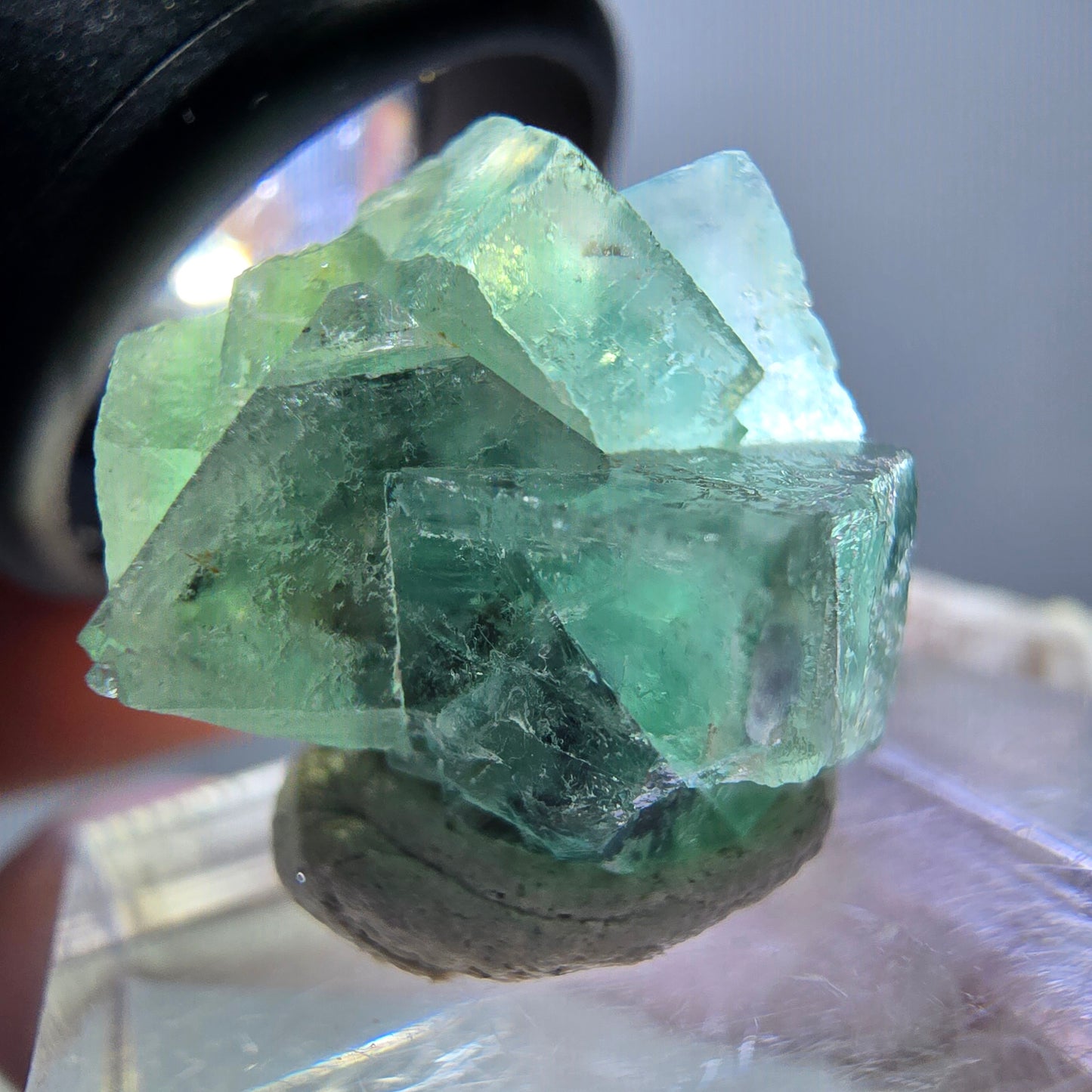 Phantom Fluorit Würfel Stufe, grün parkettiert Okorusu, Namibia 23*20*16mm