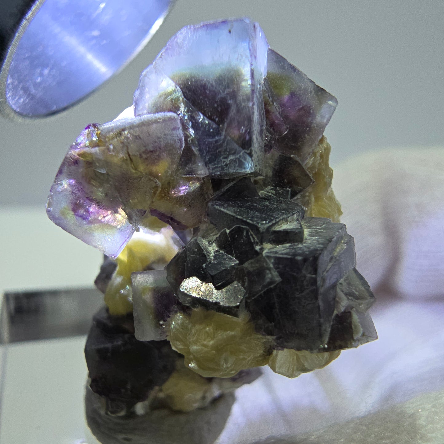 Cubes de fluorite fantôme colorés, spécimen de muscovite, Erongo, Namibie, 28 x 20 x 20 mm