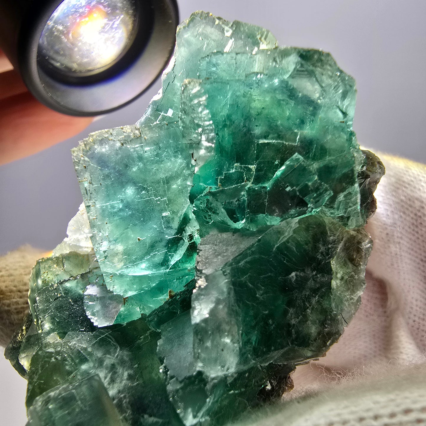 Rare spécimen de cube de fluorite fantôme, parqueté vert Okorusu, Namibie, 59 x 36 x 22 mm