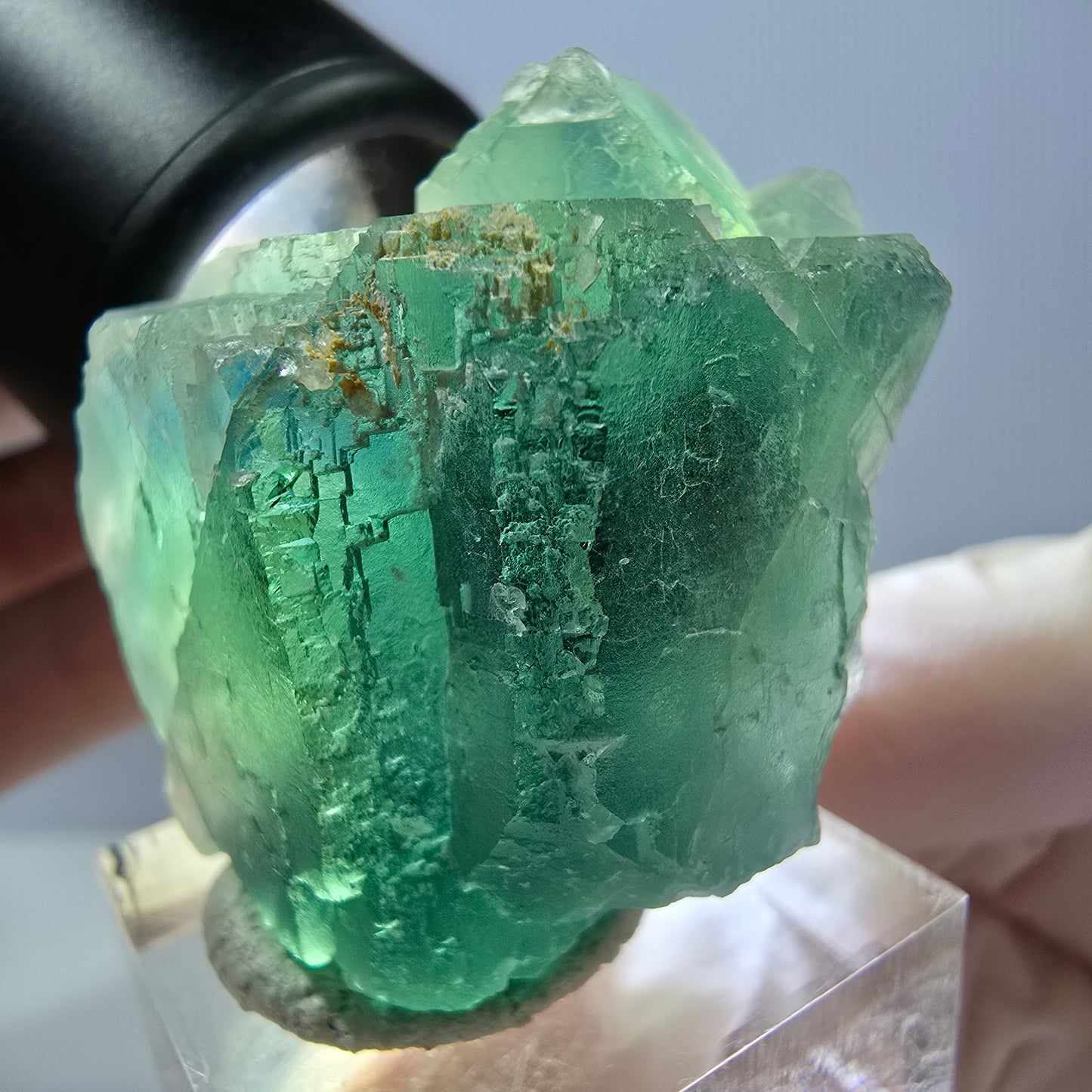 Seltene Phantom Fluorit Würfel Stufe, grün Okorusu, Namibia 41*37+21mm