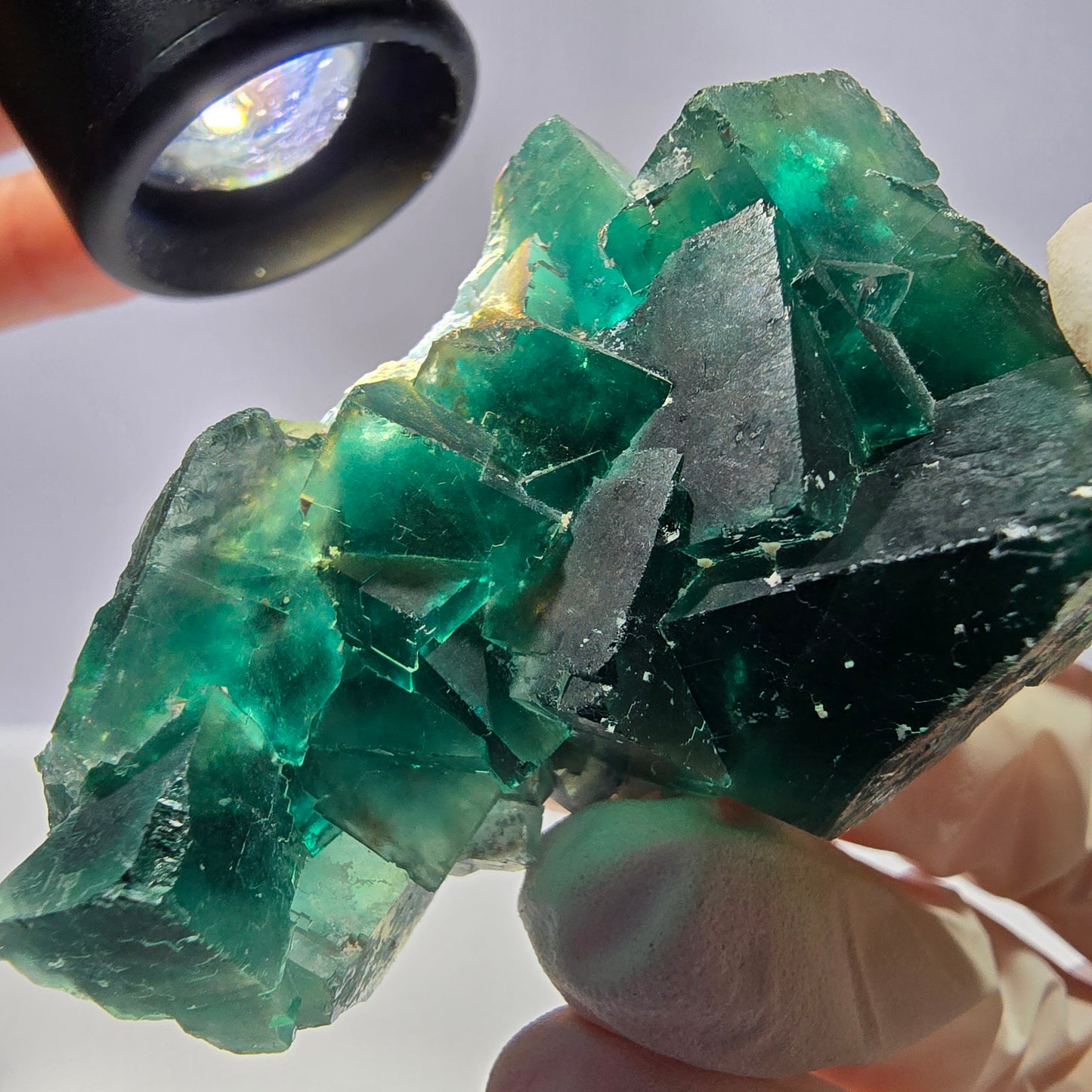 Rare spécimen de cube de fluorite fantôme, parqueté vert Okorusu, Namibie, 65 x 36 x 31 mm