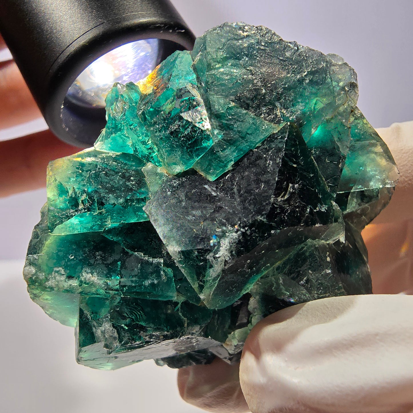 Spécimen de cube de fluorite fantôme, parqueté vert violet Okorusu, Namibie 53*49*28 mm